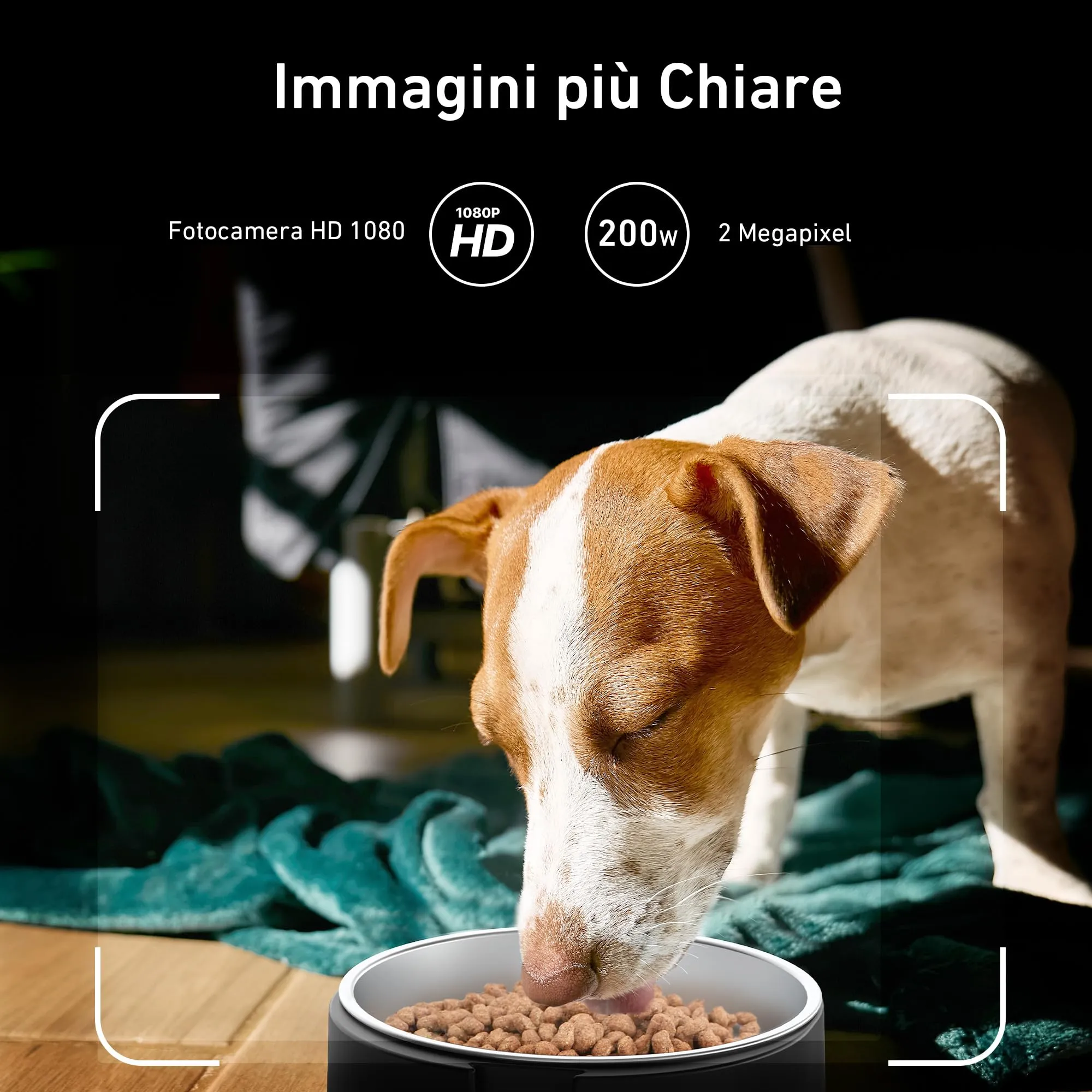 Distributore Automatico Cibo per Gatti e Cani - immagine 2