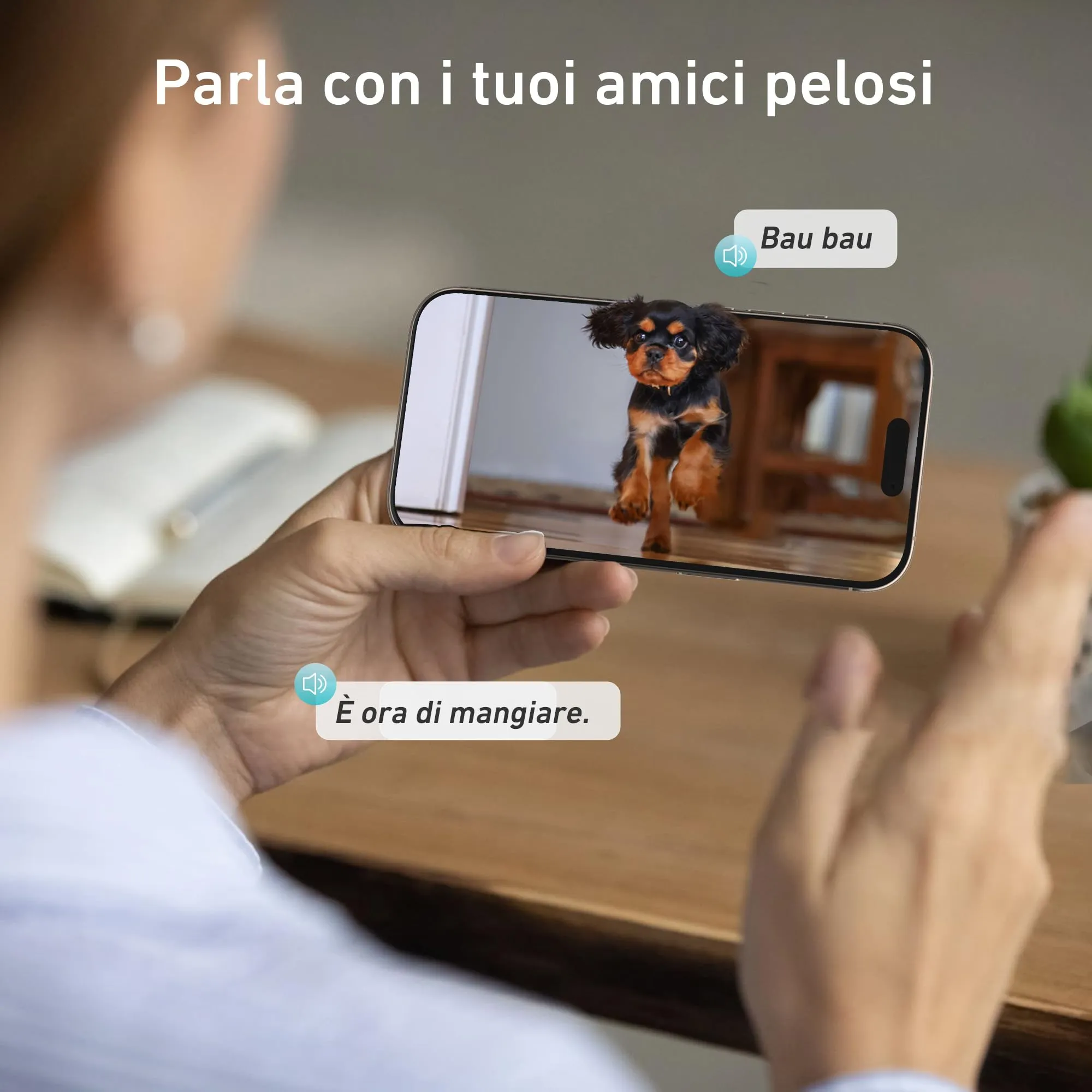 Distributore Automatico Cibo per Gatti e Cani - immagine 6