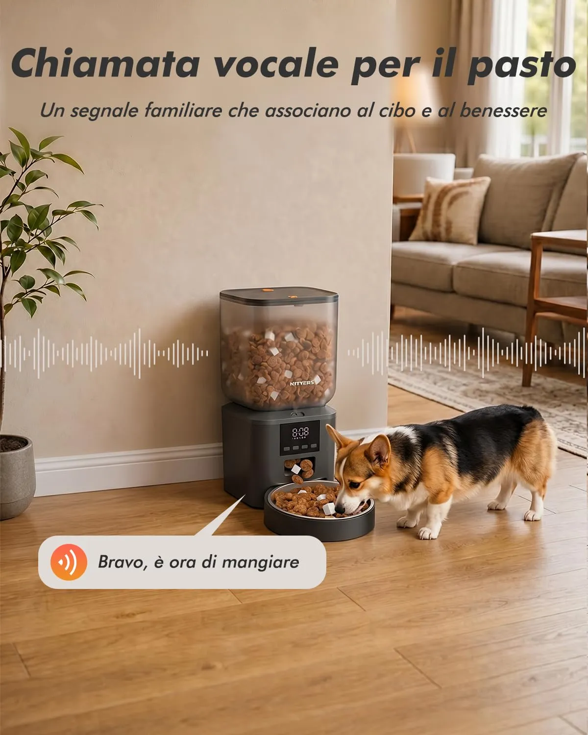 Nityers Distributore Automatico Cibo Gatti e Cani, Capacità 8L, Crocchette fino a 18 mm, Ciotola in Acciaio Inox, Alimentazione Duale, Registratore Vocale 10s, QQ-021 - immagine 6