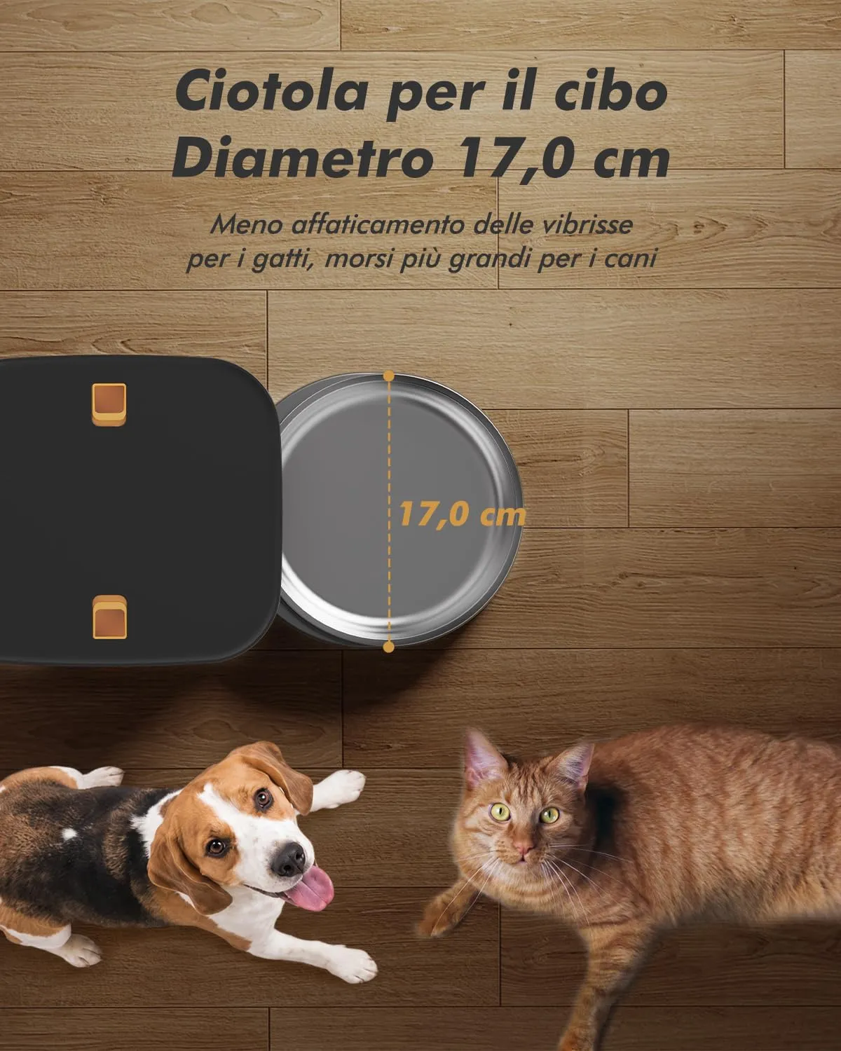 Nityers Distributore Automatico Cibo Gatti e Cani, Capacità 8L, Crocchette fino a 18 mm, Ciotola in Acciaio Inox, Alimentazione Duale, Registratore Vocale 10s, QQ-021 - immagine 8