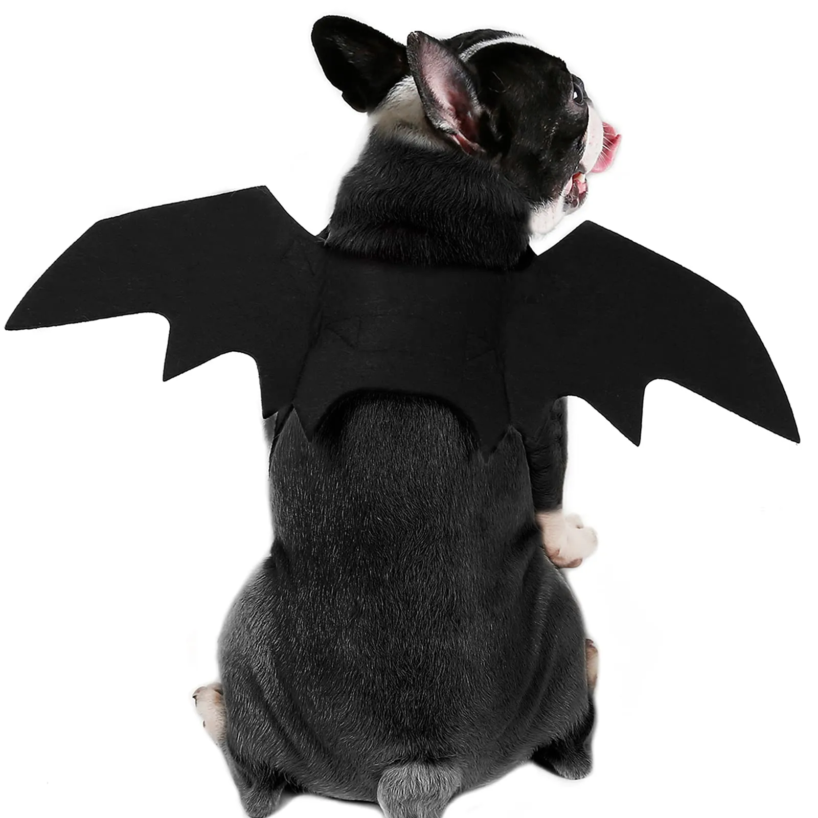 RANYPET Costume Halloween Ali da Pipistrello per Cani e Gatti, Taglia S - immagine 1