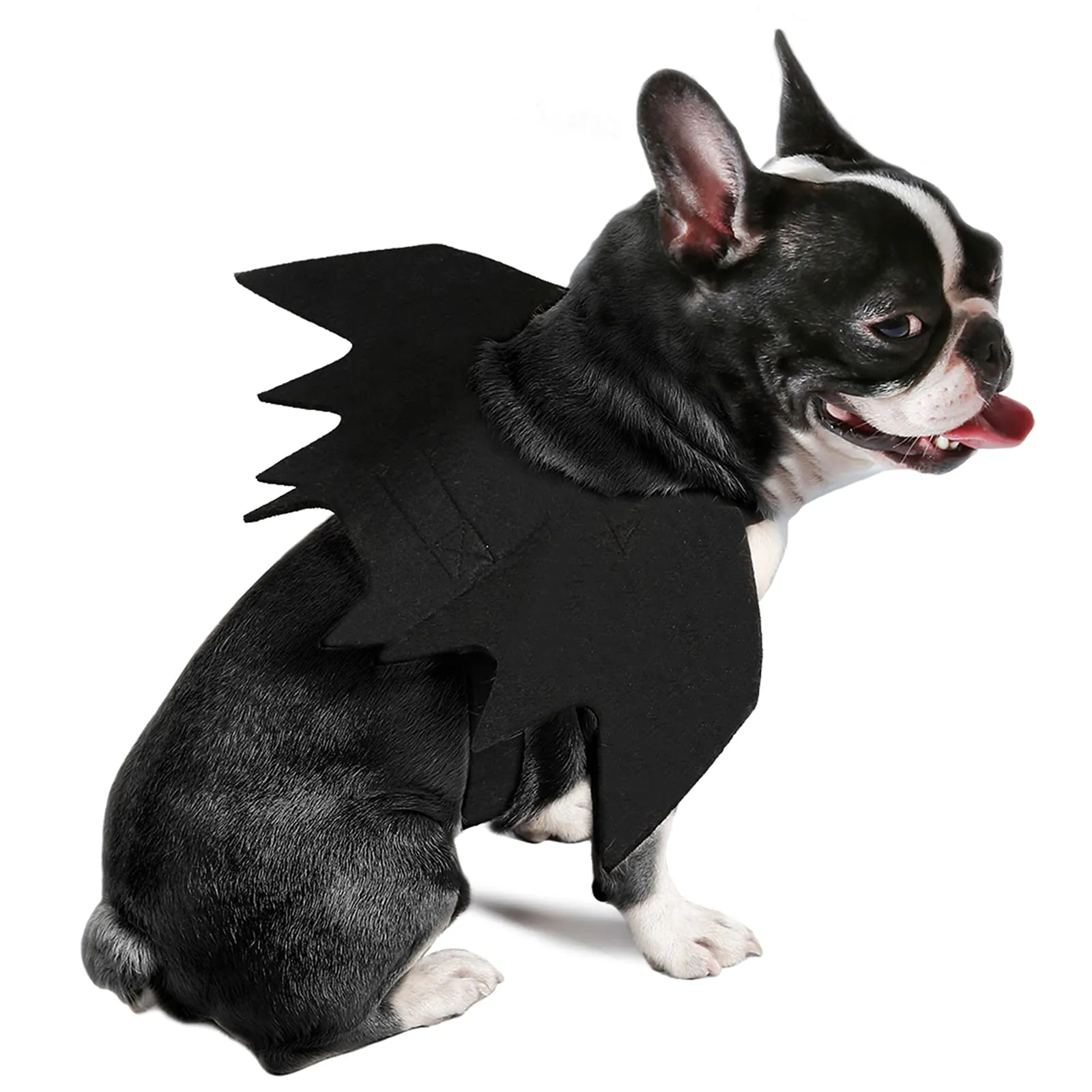 RANYPET Costume Halloween Ali da Pipistrello per Cani e Gatti, Taglia S - immagine 5