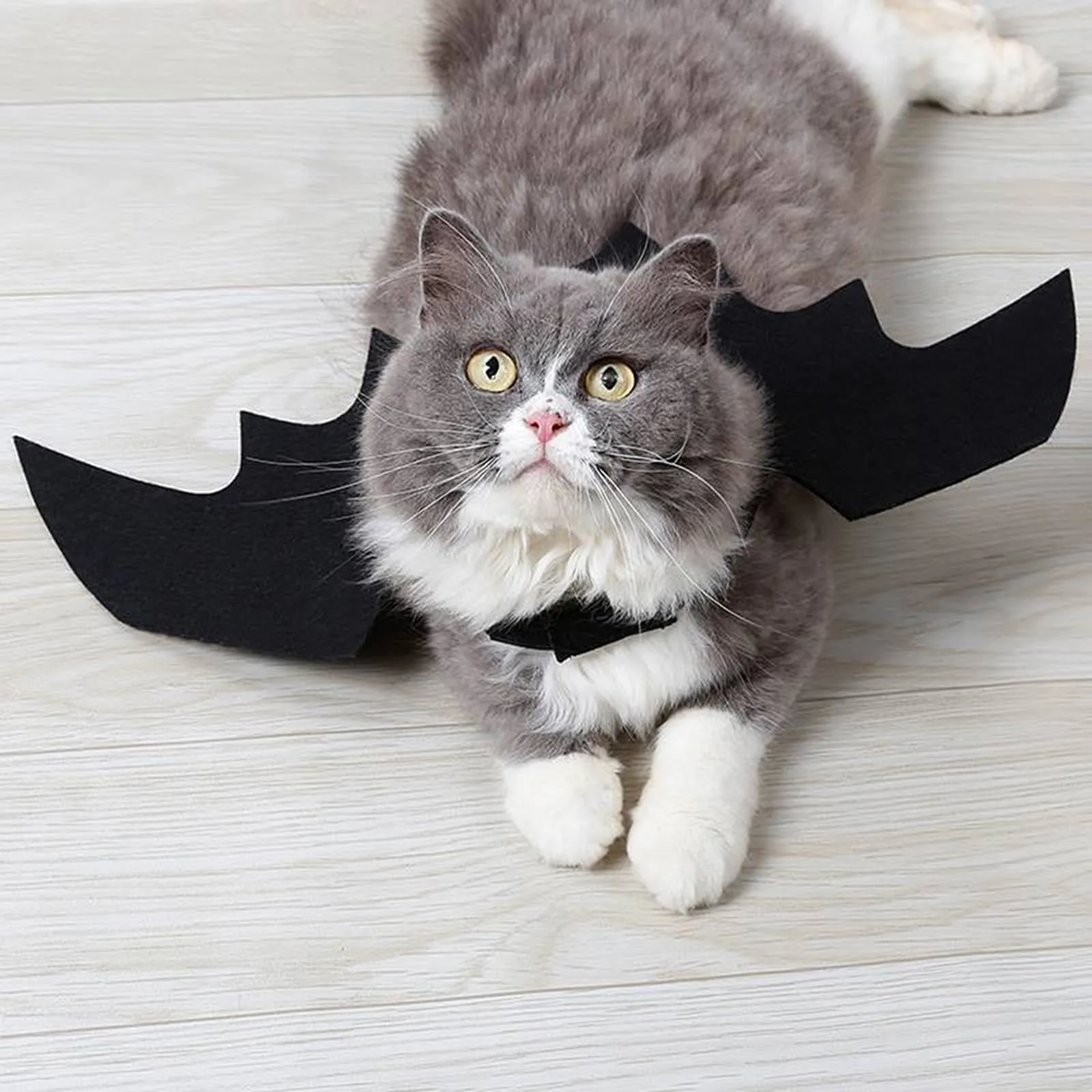 RANYPET Costume Halloween Ali da Pipistrello per Cani e Gatti, Taglia S - immagine 6