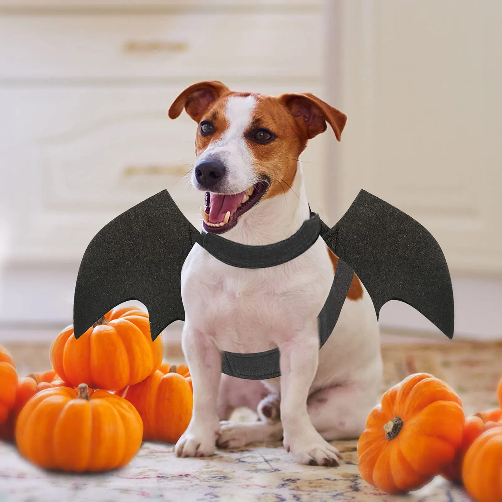 RANYPET Costume Halloween Ali da Pipistrello per Cani e Gatti, Taglia S - immagine 7