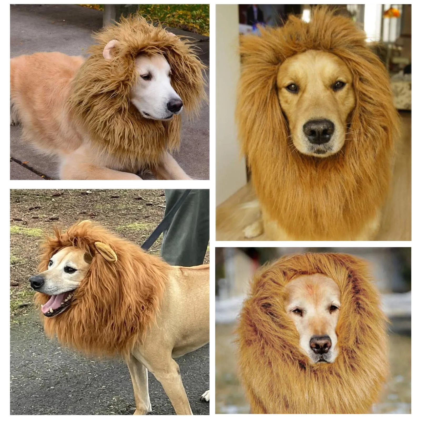Huahuanghui Costume Criniera di Leone con Orecchie per Cani, Large, Giallo-Marrone - immagine 6