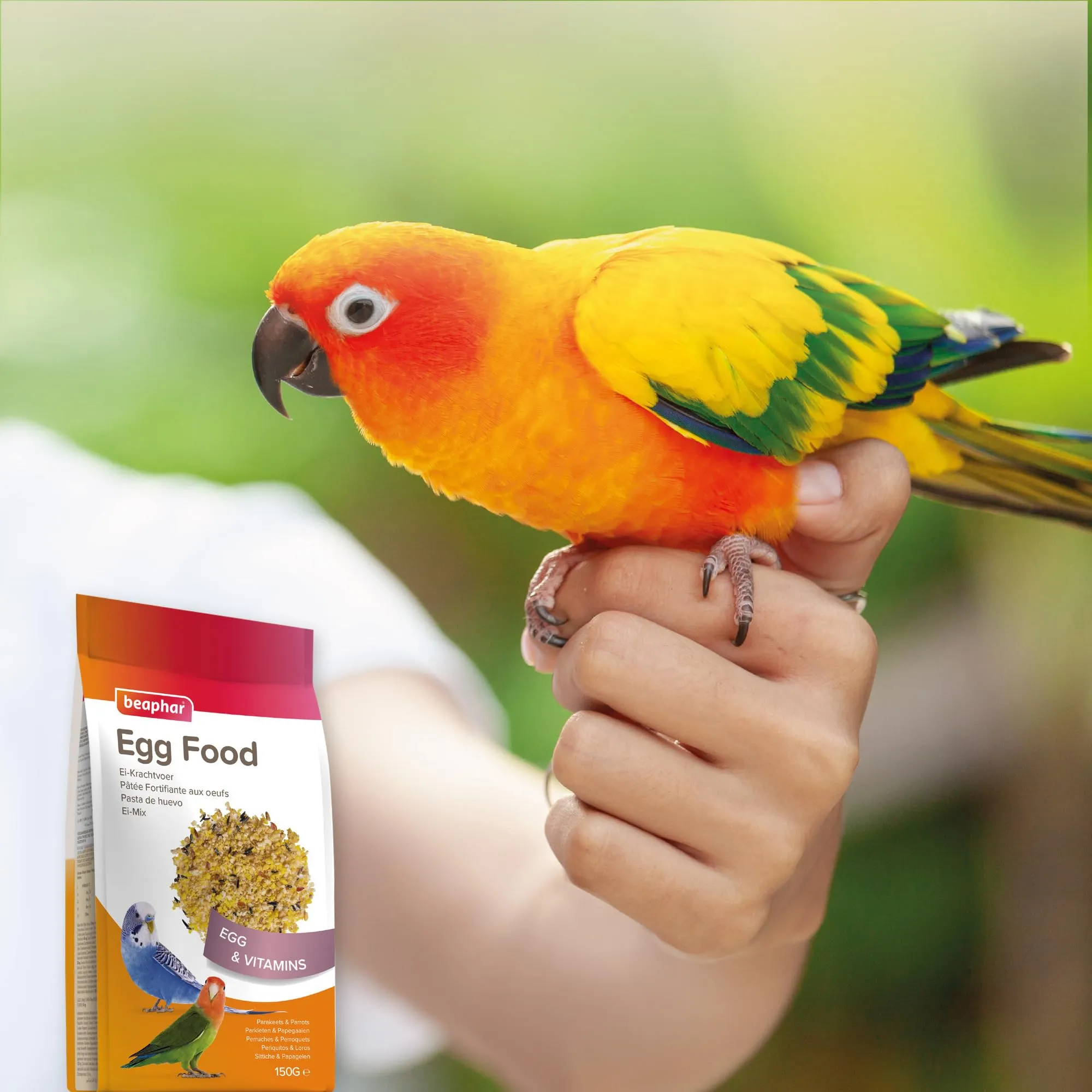 Beaphar Pasta Uovo per Periquiti, Agapornis e Piccole Cotorre, 150g - immagine 7