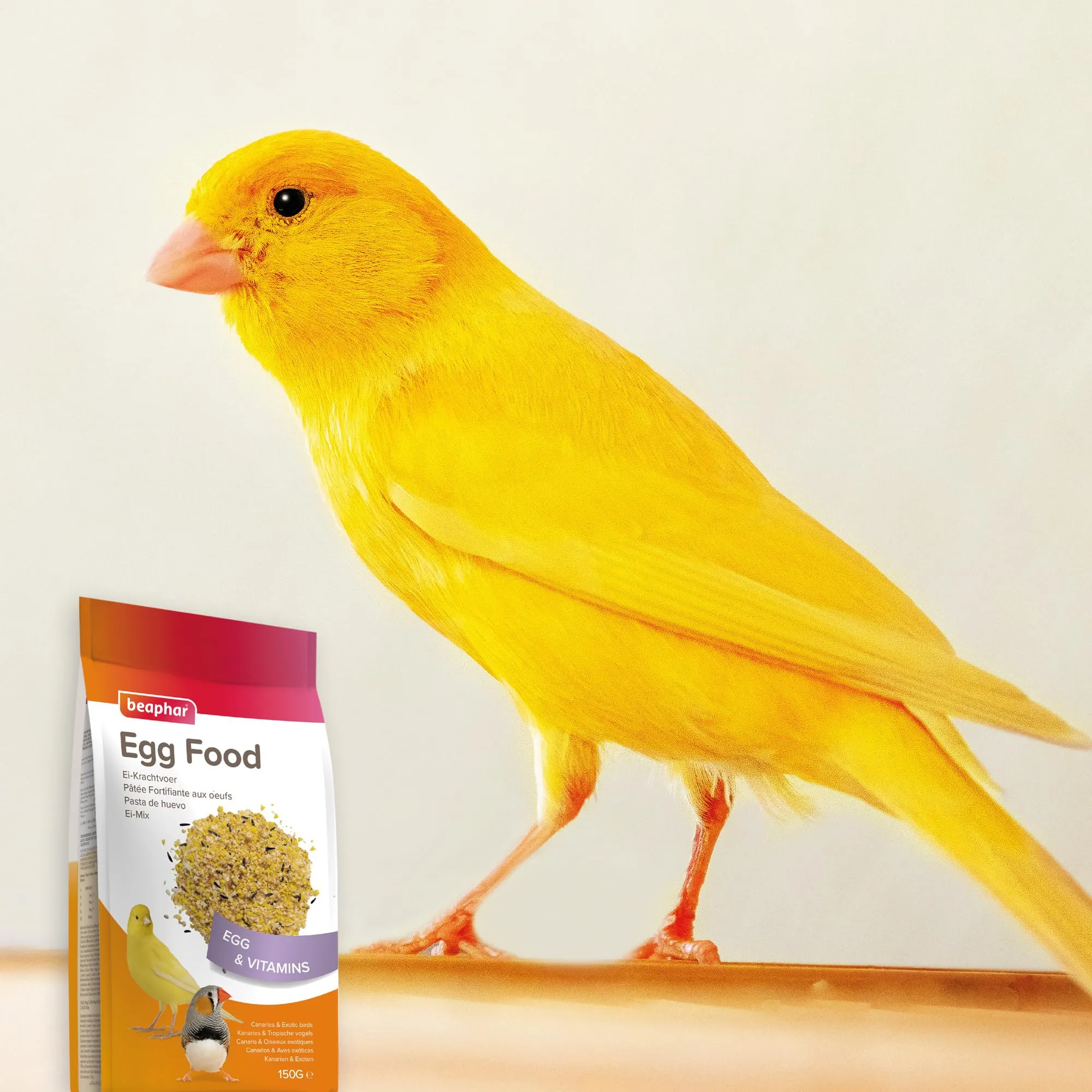Beaphar Pasta all'uovo per Canarini e Uccelli Esotici - 150g - immagine 7