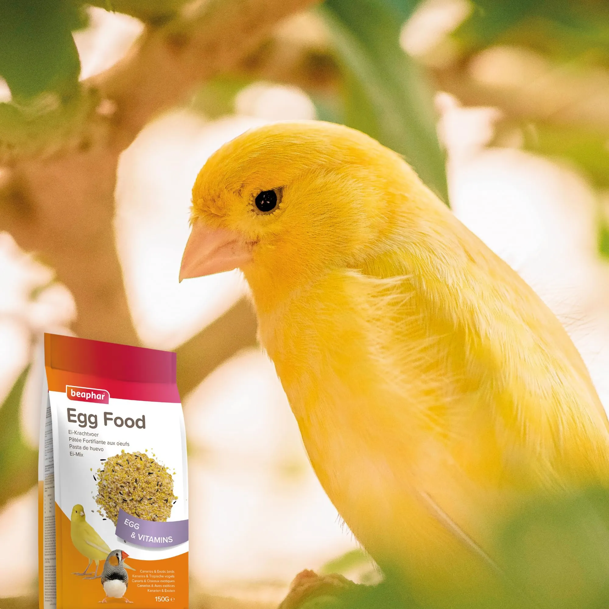 Beaphar Pasta all'uovo per Canarini e Uccelli Esotici - 150g - immagine 8