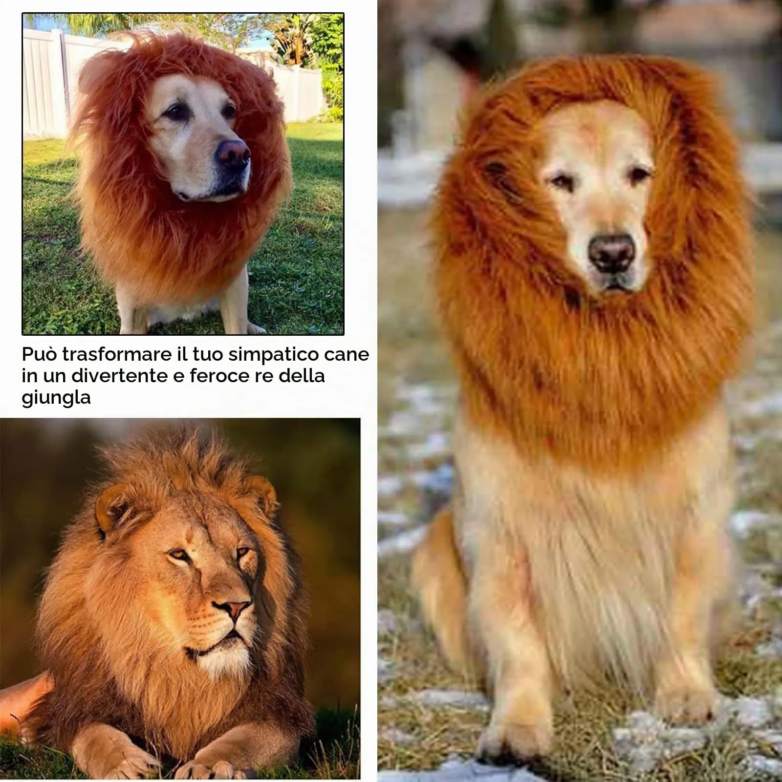 VIDSTW Criniera di Leone per Cane con Orecchie Realistiche, Costume Cosplay Regolabile (Bruno-Rossastro) - immagine 5