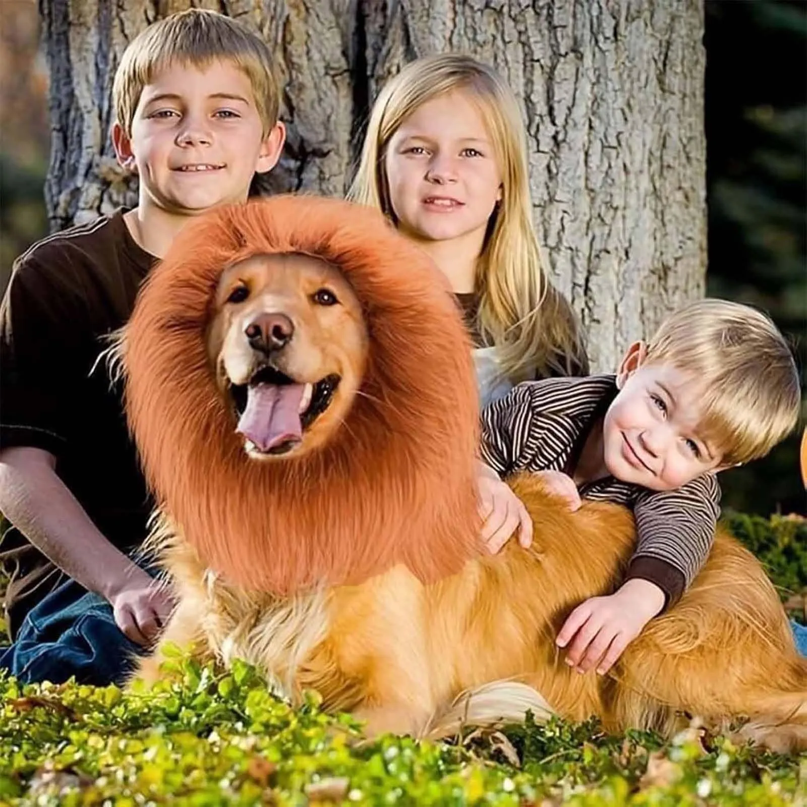 VIDSTW Criniera di Leone per Cane con Orecchie Realistiche, Costume Cosplay Regolabile (Bruno-Rossastro) - immagine 7
