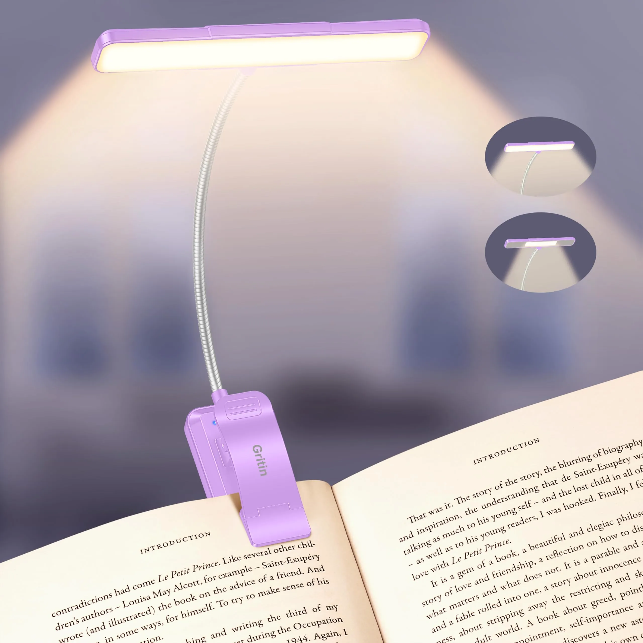 Gritin 2026 Luce per Lettura Libri a Letto, 32 LED Spettro Completo - immagine 1