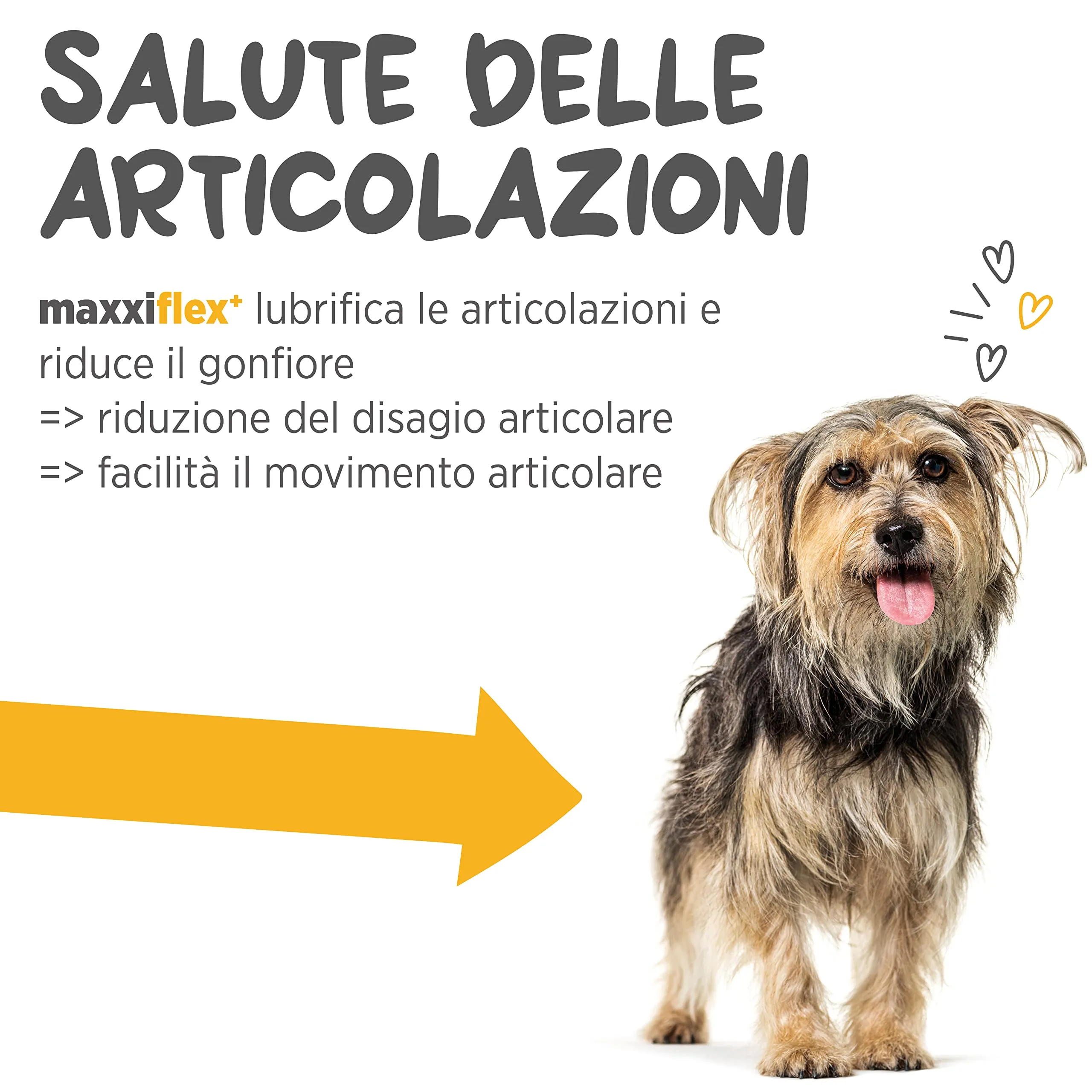 maxxipaws maxxiflex+ Integratore Articolare Cani, 120 Compresse - immagine 3