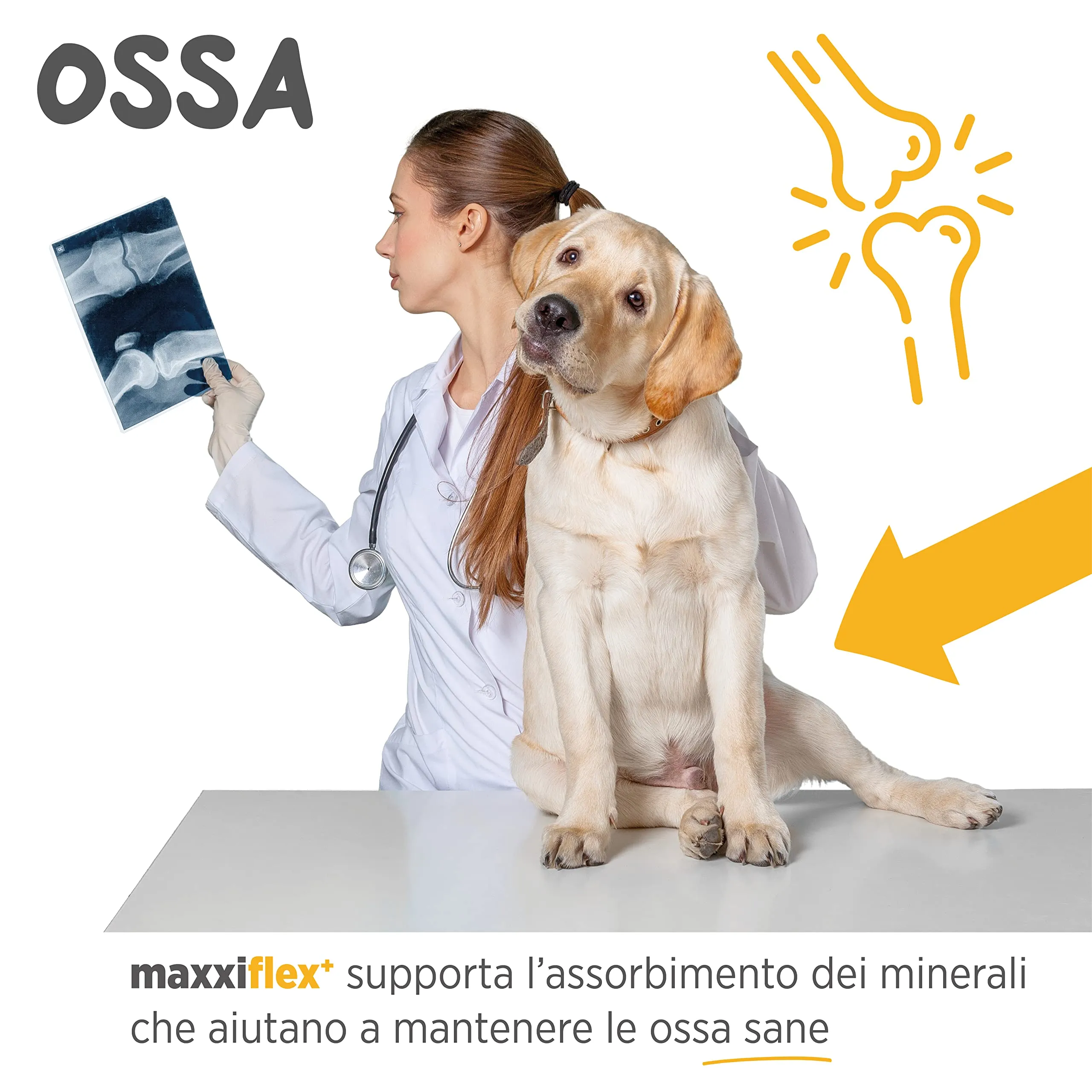 maxxipaws maxxiflex+ Integratore Articolare Cani, 120 Compresse - immagine 5