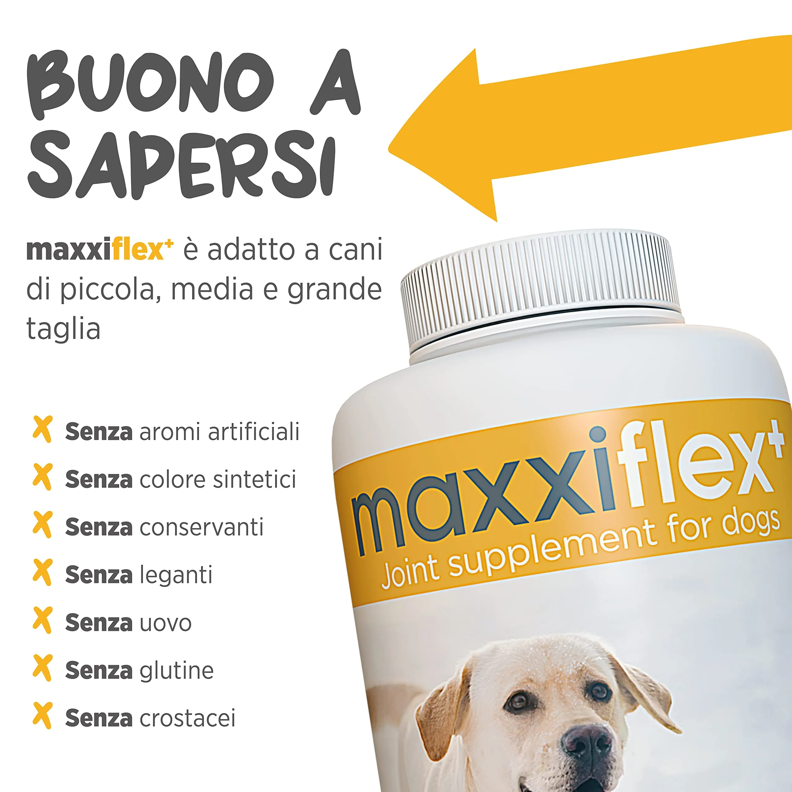 maxxipaws maxxiflex+ Integratore Articolare Cani, 120 Compresse - immagine 7