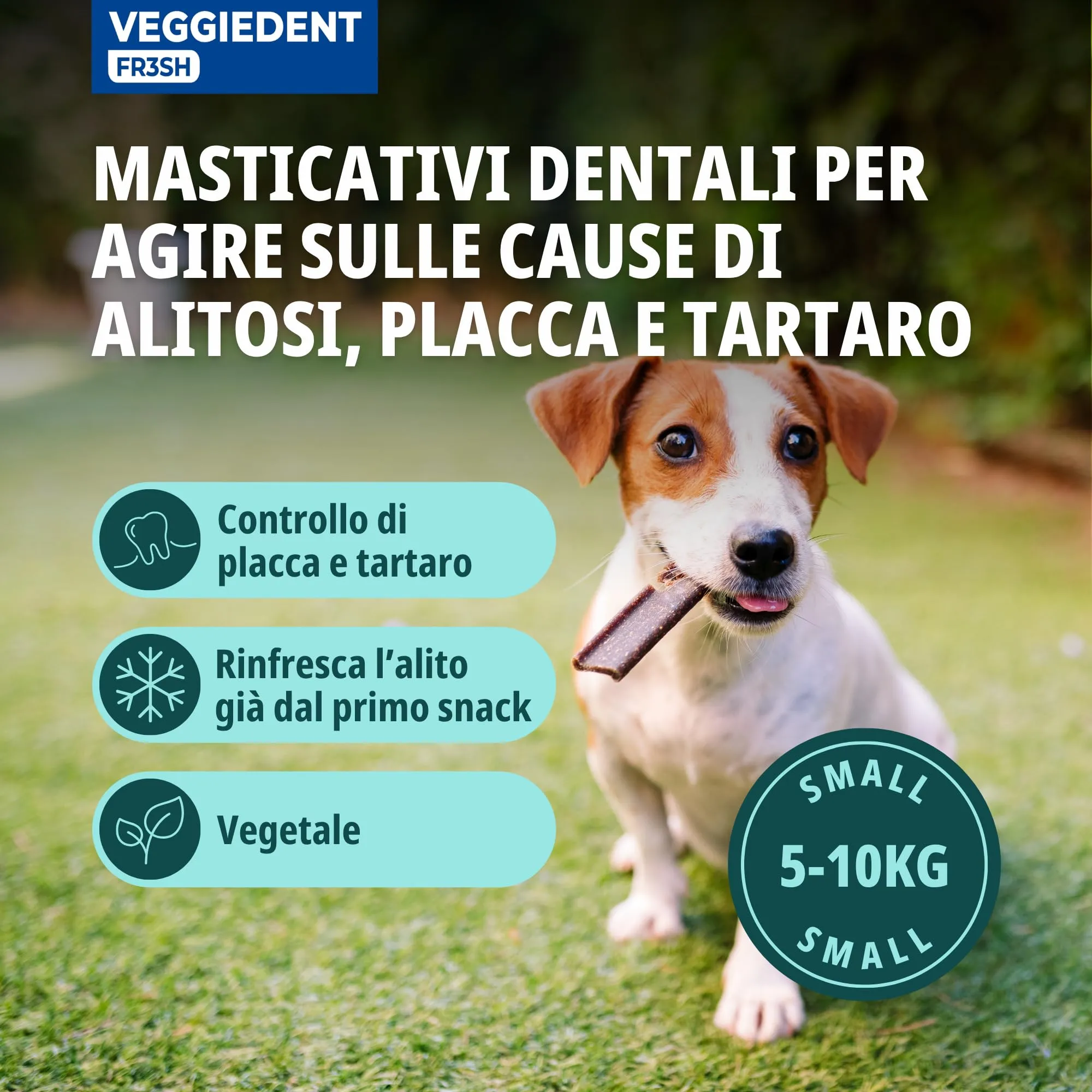 Virbac VeggieDent FR3SH Dental Chews for Dogs, Small (5-10kg) - immagine 2