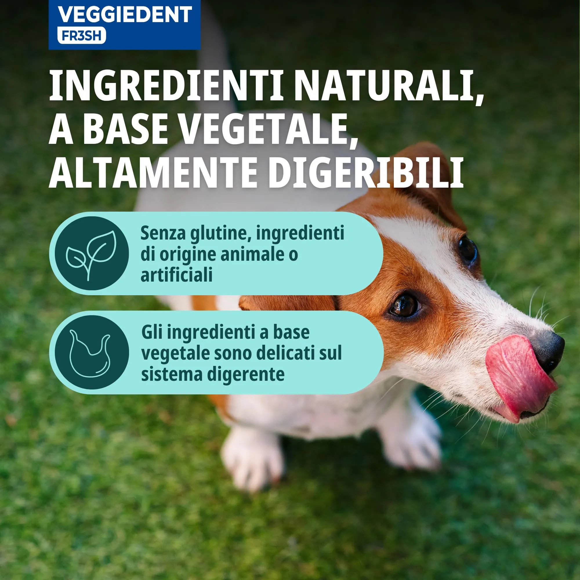 Virbac VeggieDent FR3SH Dental Chews for Dogs, Small (5-10kg) - immagine 5