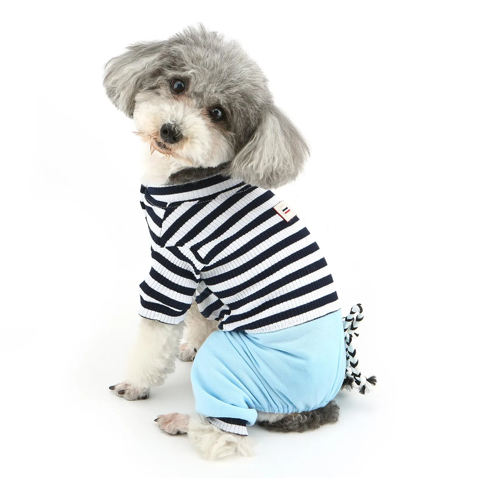 Ranphy Tuta a Righe in Cotone per Cani di Piccola Taglia e Gatti, Blu, Taglia S - immagine 3