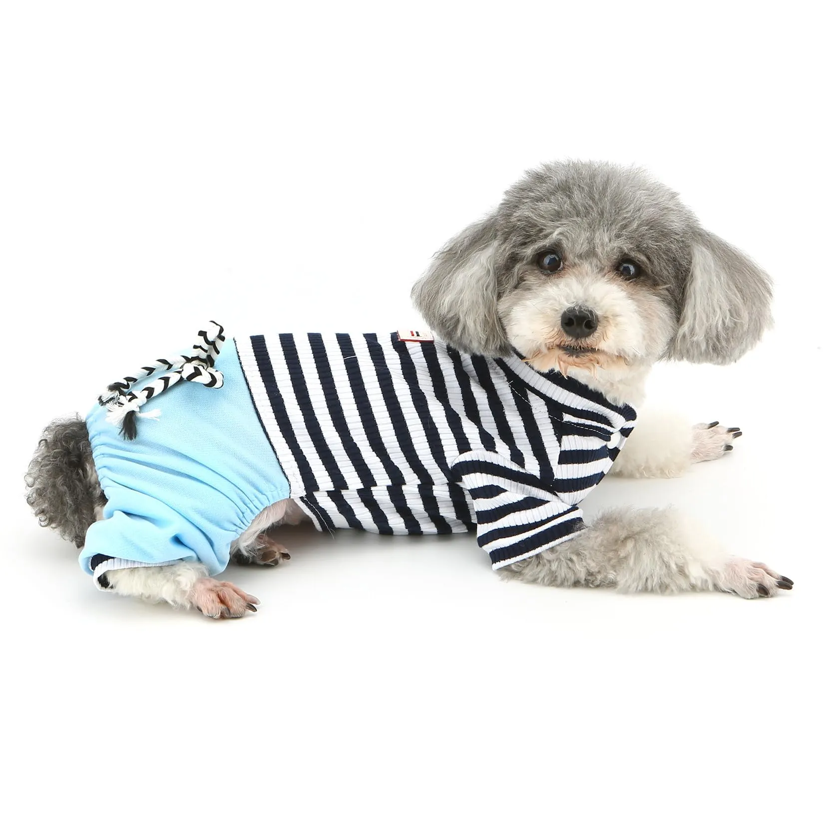 Ranphy Tuta a Righe in Cotone per Cani di Piccola Taglia e Gatti, Blu, Taglia S - immagine 4