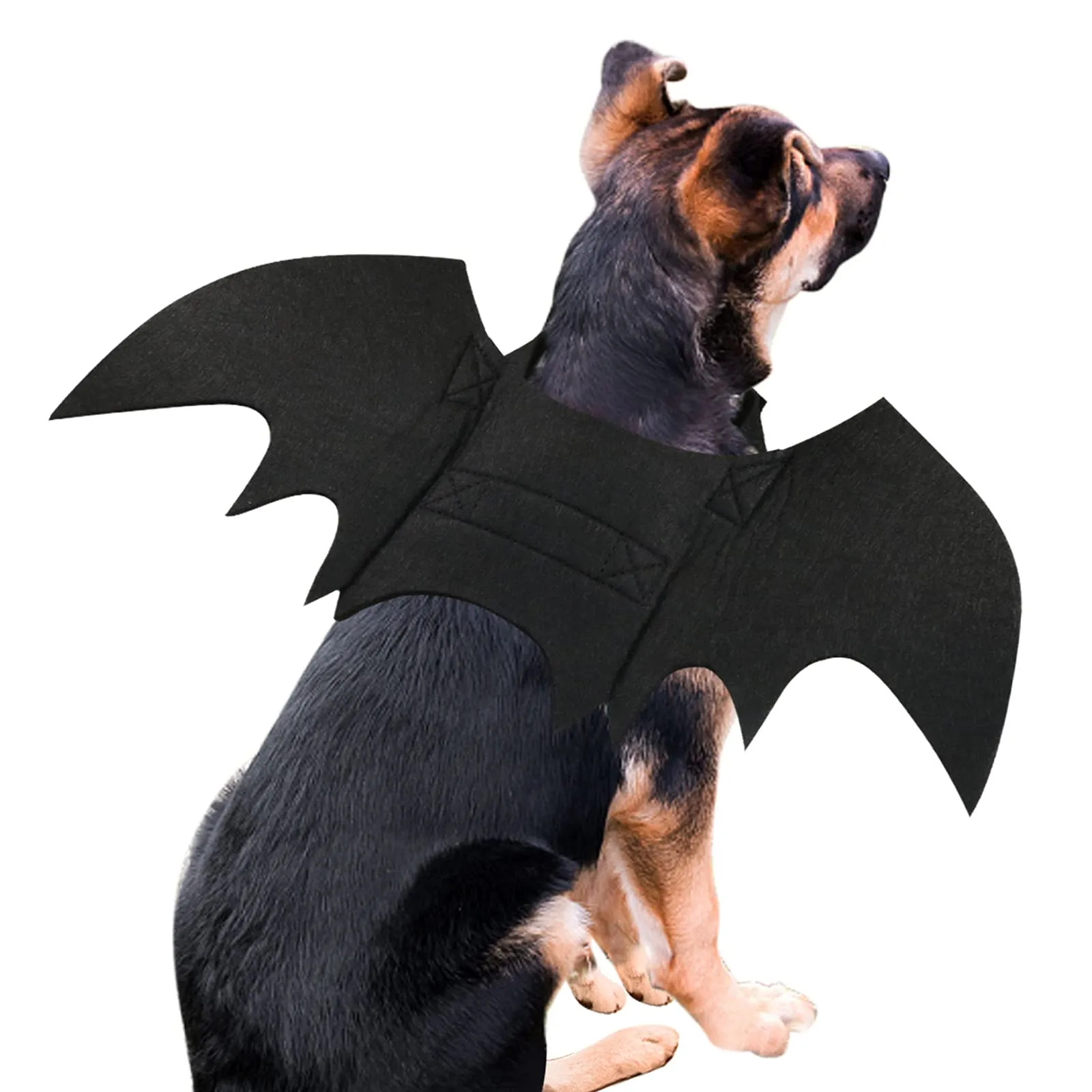 RANYPET Costume da Pipistrello per Cani e Gatti, Taglia L - immagine 6