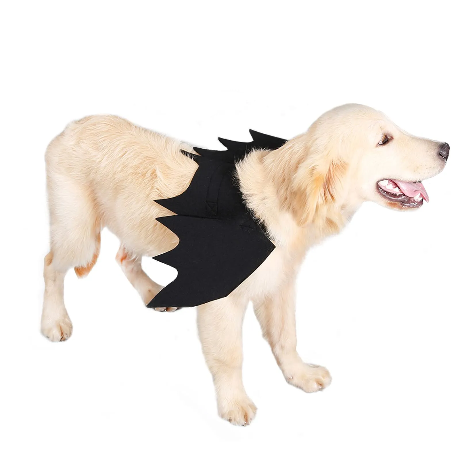RANYPET Costume Ali da Pipistrello per Cani e Gatti, Taglia M - immagine 6