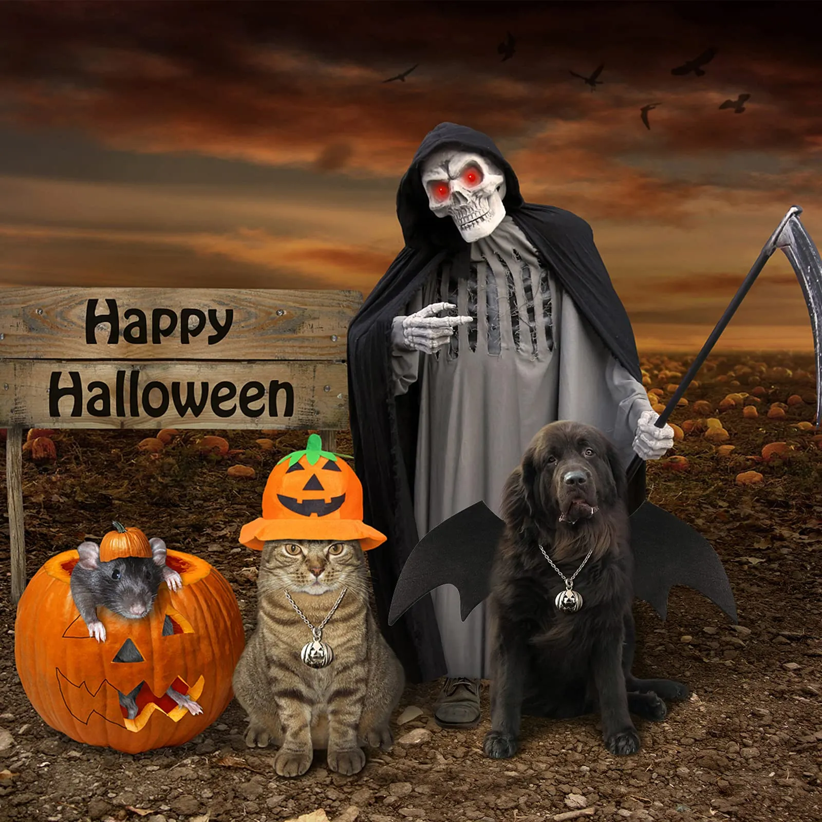 RANYPET Costume Ali da Pipistrello per Cani e Gatti, Taglia M - immagine 7
