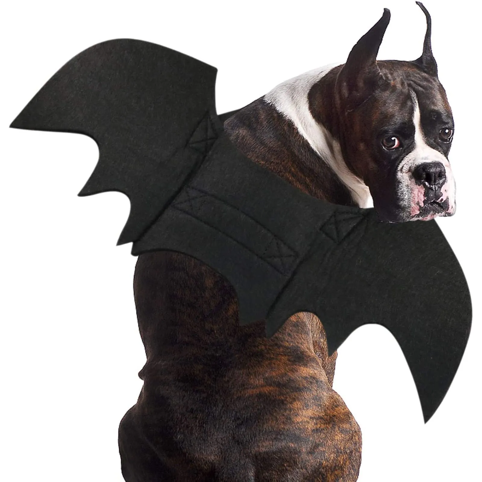 RANYPET Costume Halloween Ali da Pipistrello per Cani e Gatti, Taglia XL - immagine 1