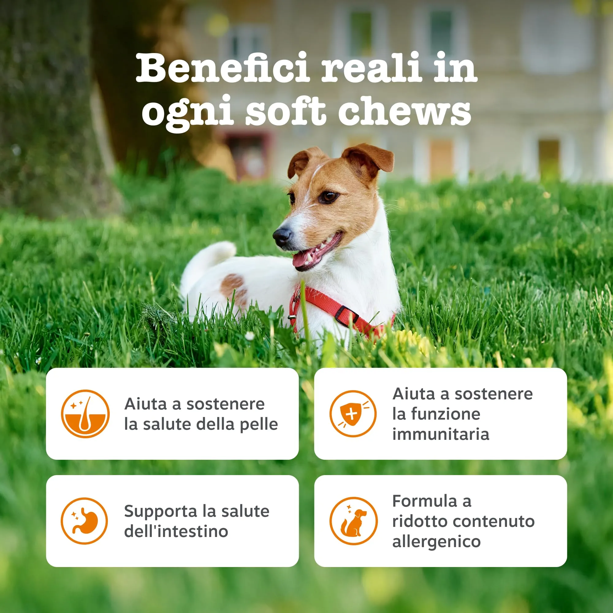 Zesty Paws Allergy & Immunity for Dogs – 90 Chews - immagine 3