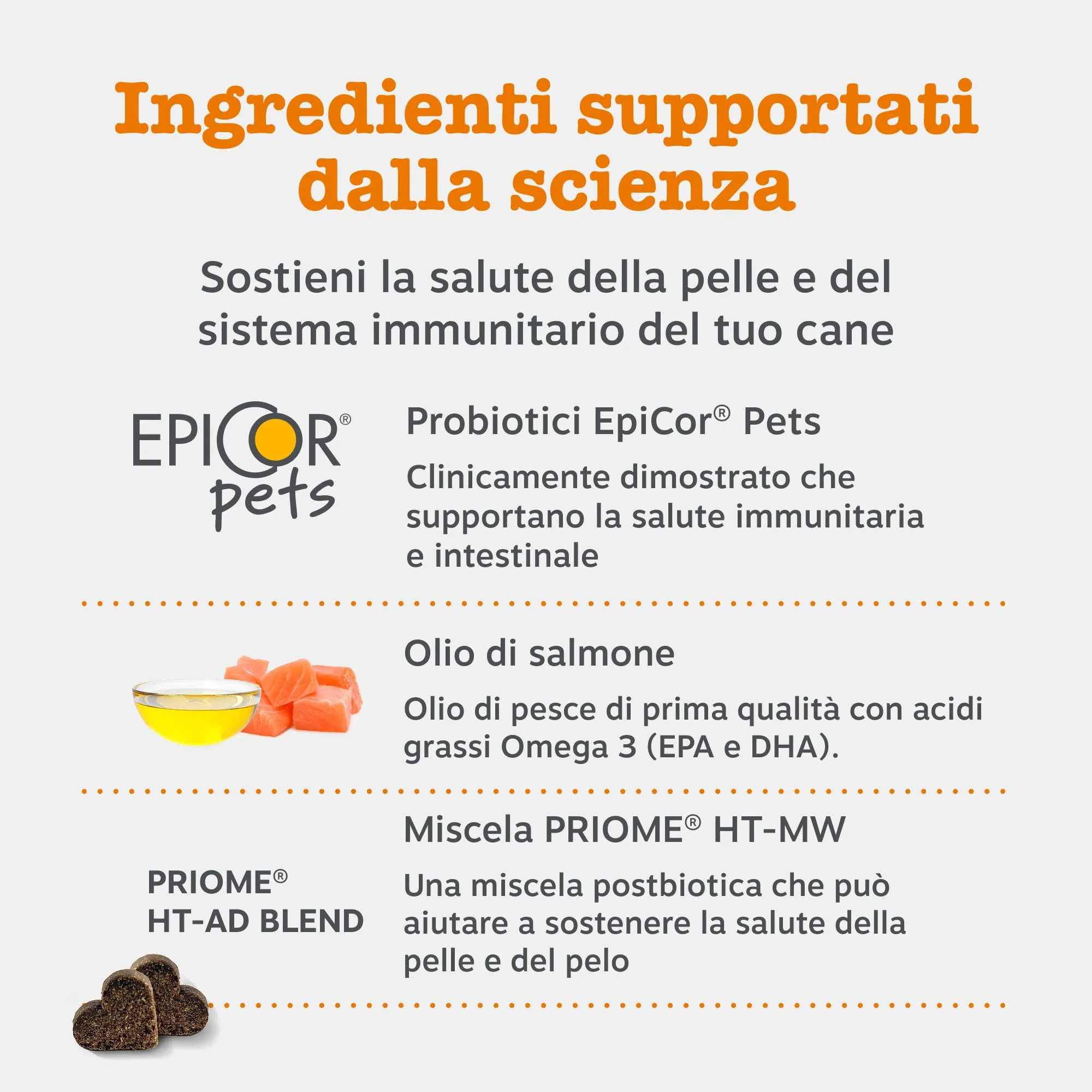 Zesty Paws Allergy & Immunity for Dogs – 90 Chews - immagine 4