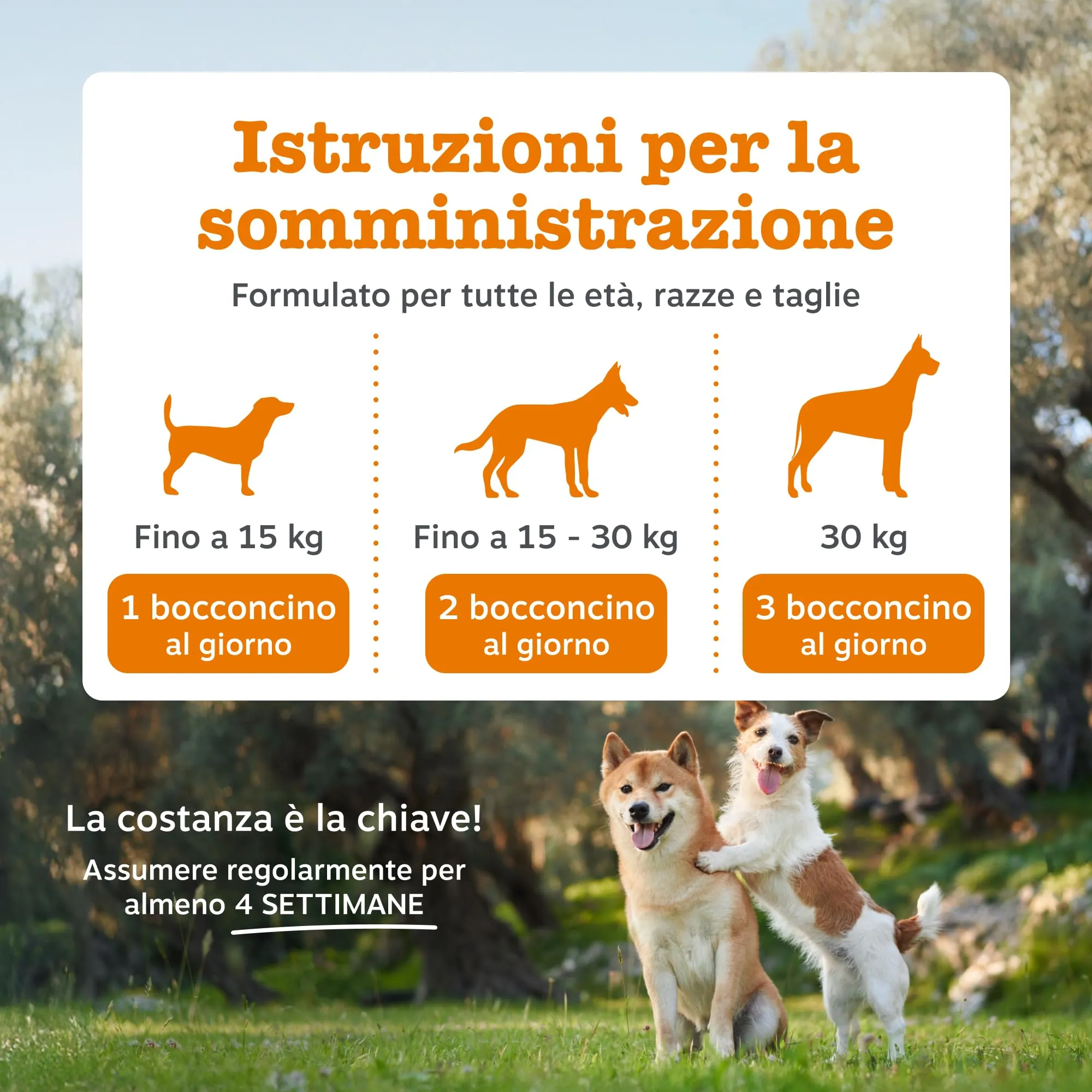 Zesty Paws Allergy & Immunity for Dogs – 90 Chews - immagine 5