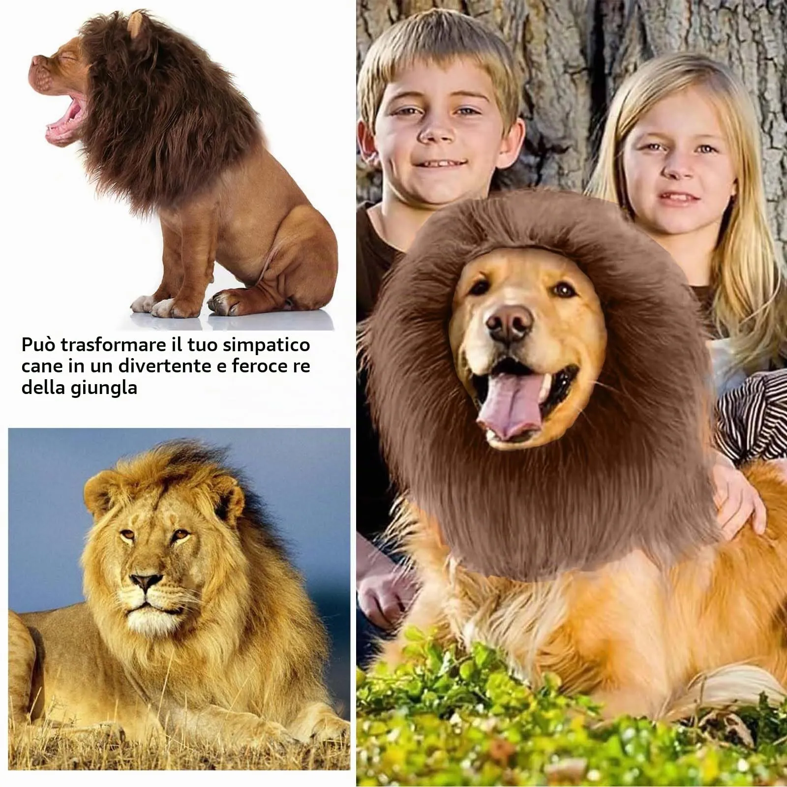 VIDSTW Criniera Leone per Cane con Orecchie Realistiche, Costume Regolabile per Halloween e Cosplay (Colore Caffè) - immagine 7