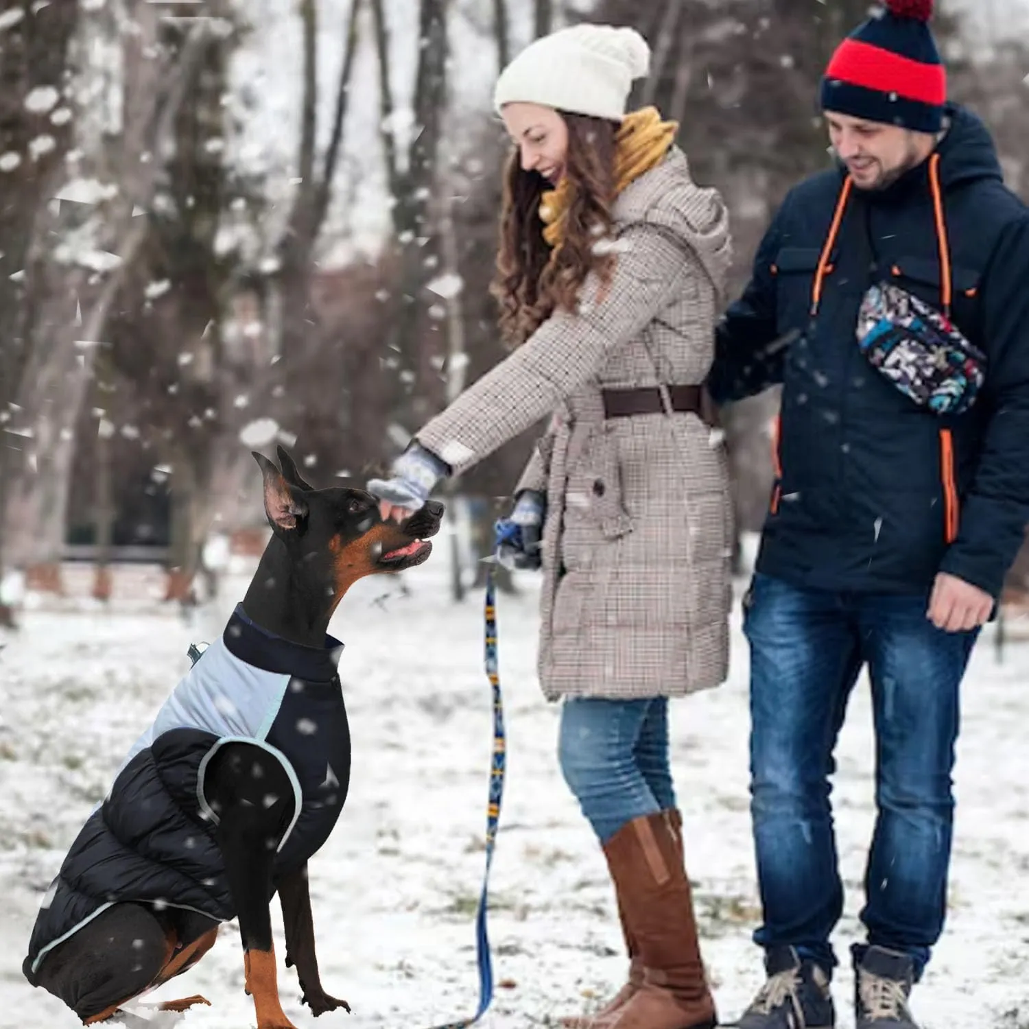 SRJEQC Cappotto Impermeabile Riflettente per Cani Taglia Grande, Nero 4XL - immagine 5