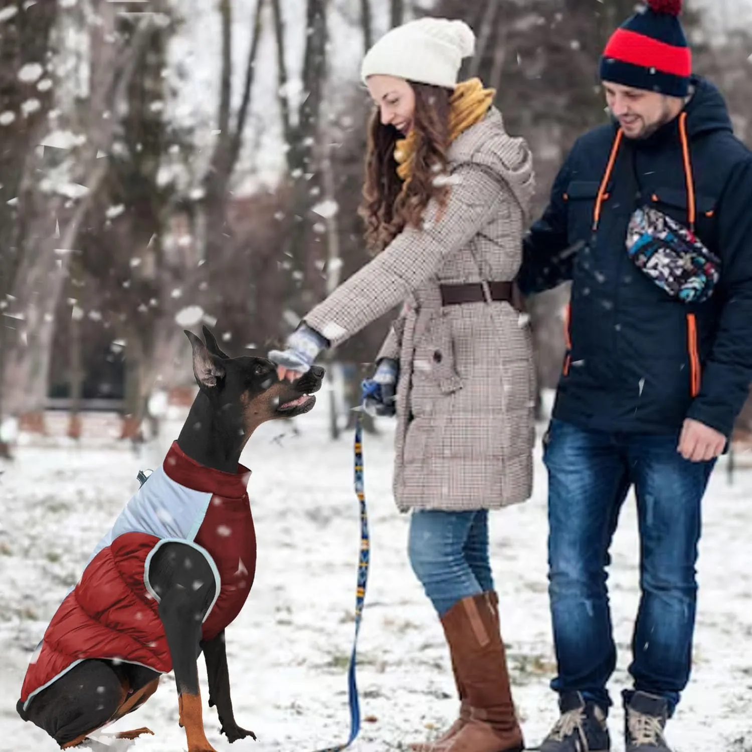 SRJEQC Cappotto Impermeabile Riflettente per Cani Taglia Grande, Rosso 2XL - immagine 5