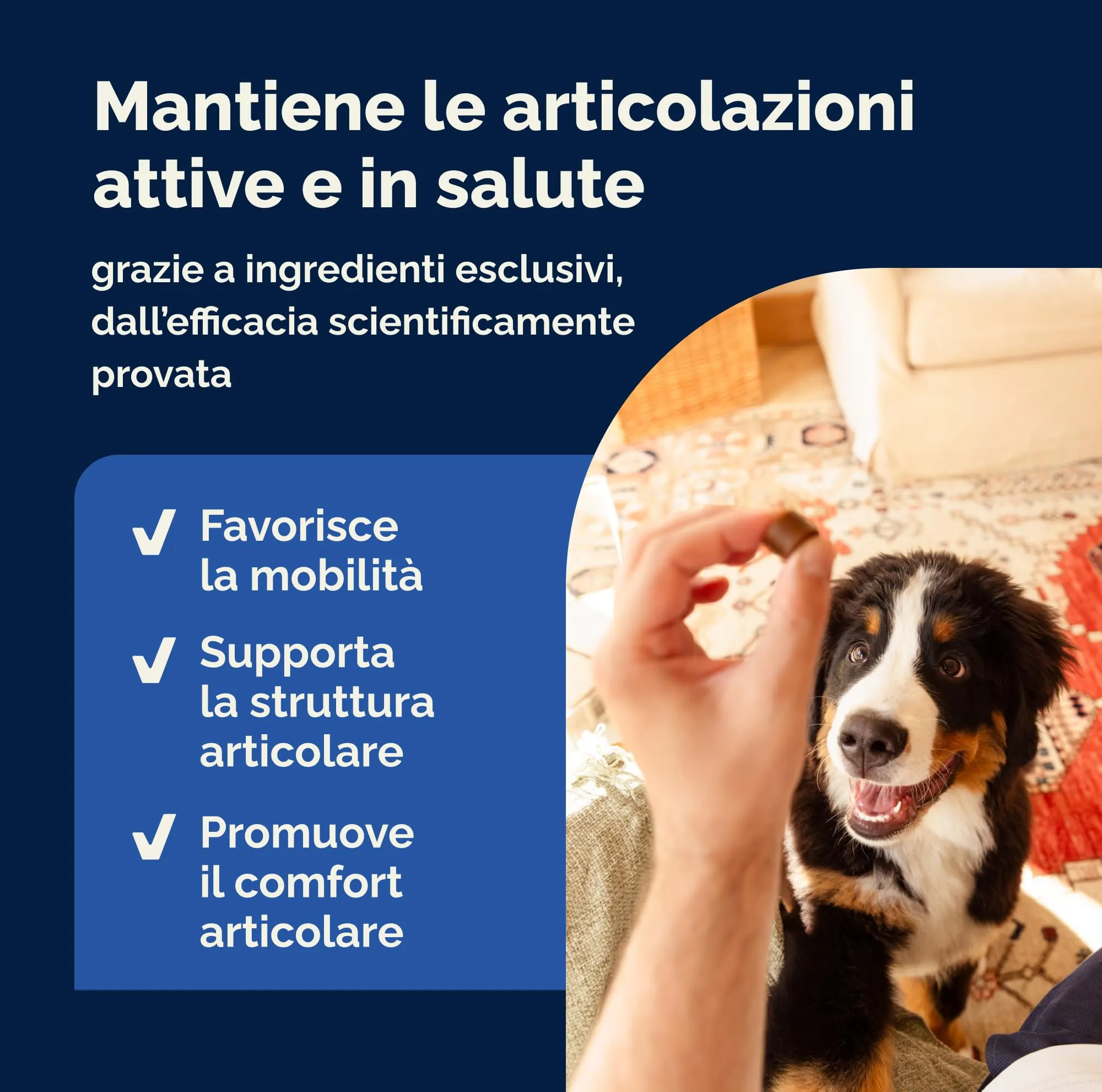 YuMOVE Integratore Articolazioni Cane Senior 8+ ActivEase, 120 Bocconcini - immagine 3