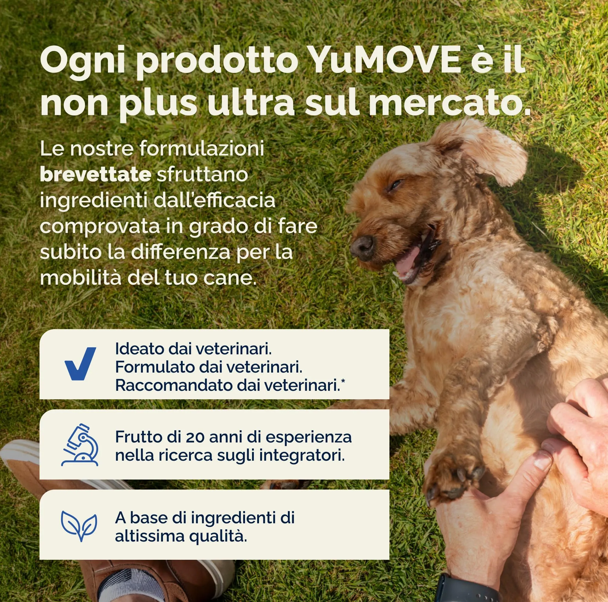 YuMOVE Integratore Articolazioni Cane Senior 8+ ActivEase, 120 Bocconcini - immagine 4