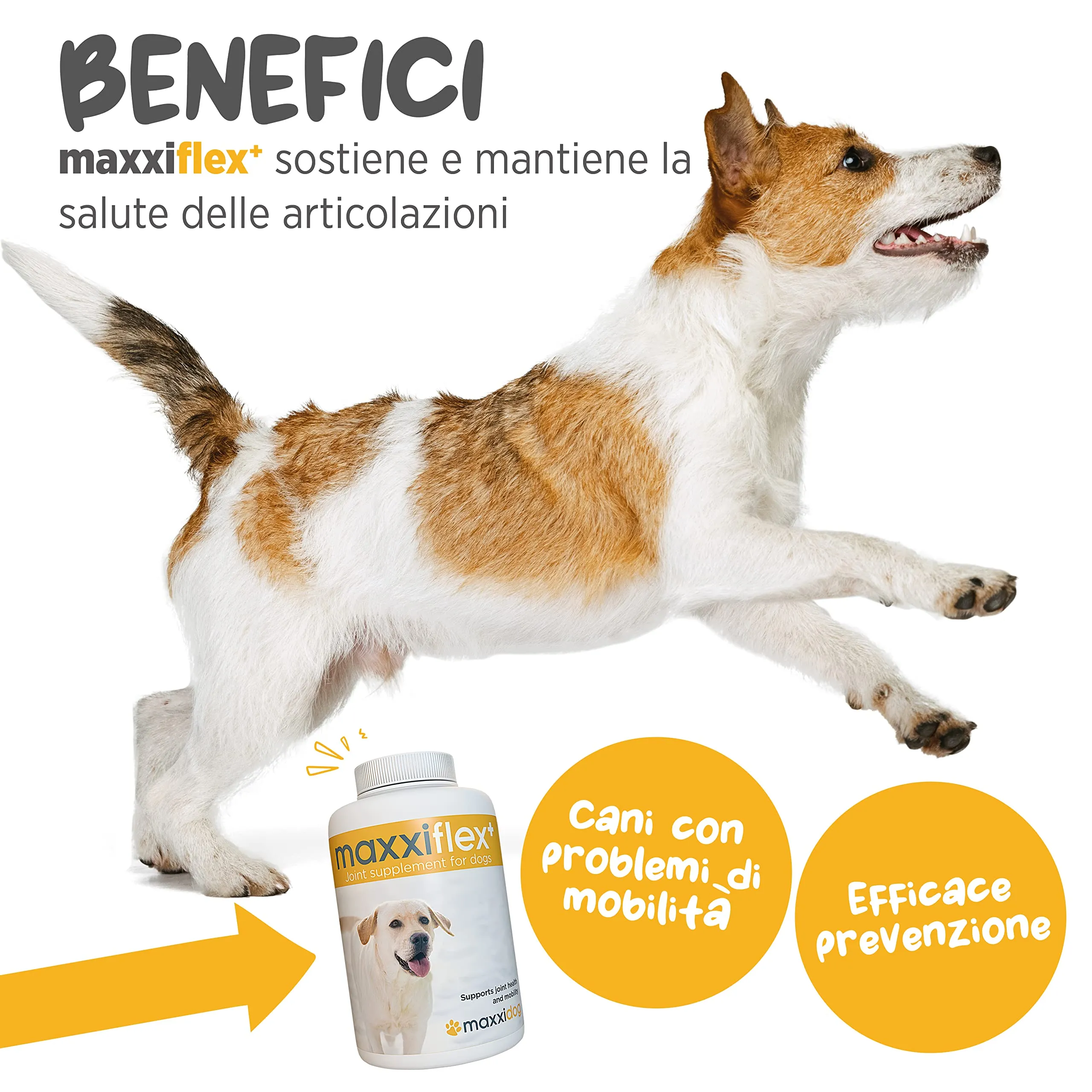 maxxipaws maxxiflex+ Anche & Articolazioni Cani, Glucosamina, 60 Compresse - immagine 2
