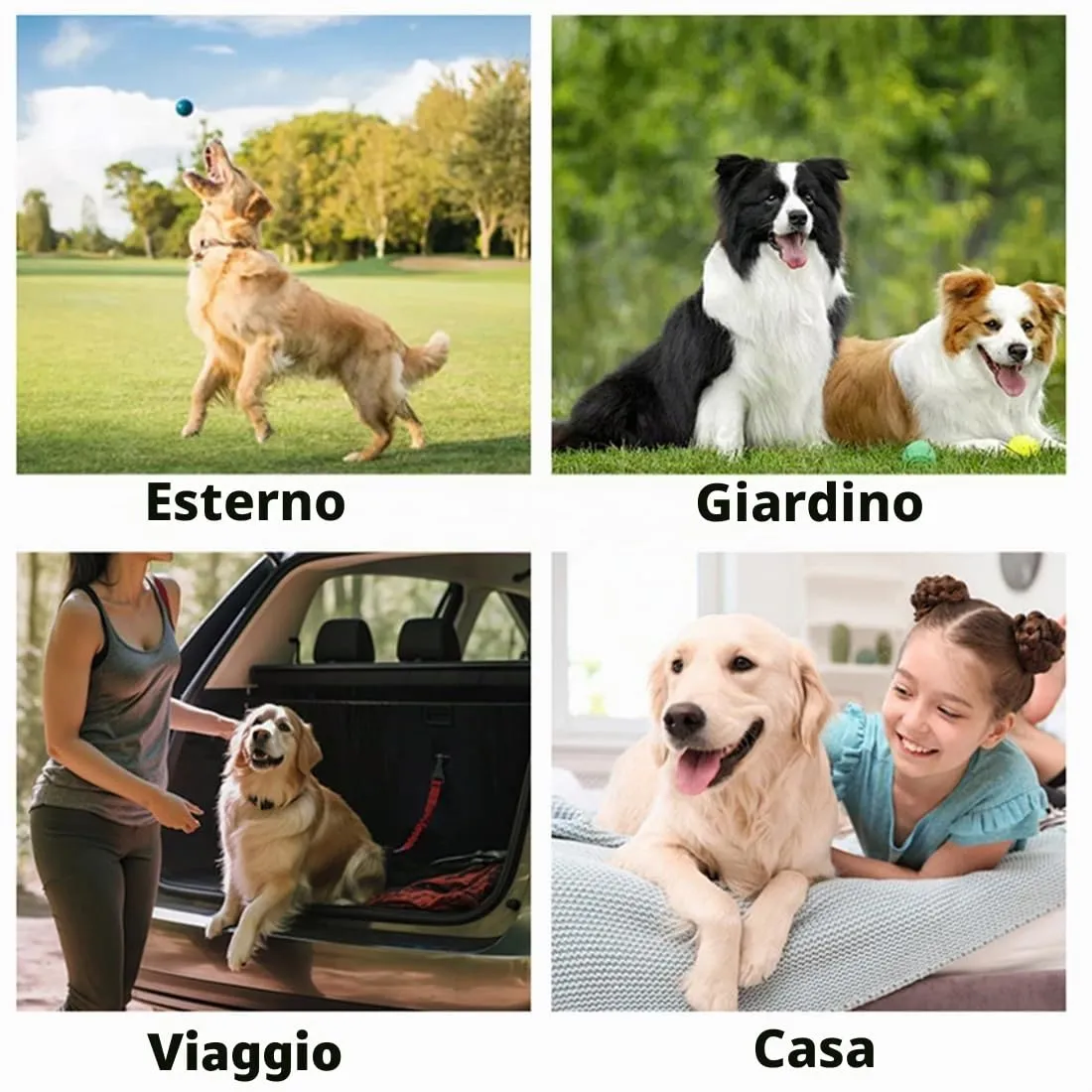 WeddHuis Salviette Guanto per Animali Domestici per Cani e Gatti, Senza Risciacquo - immagine 6
