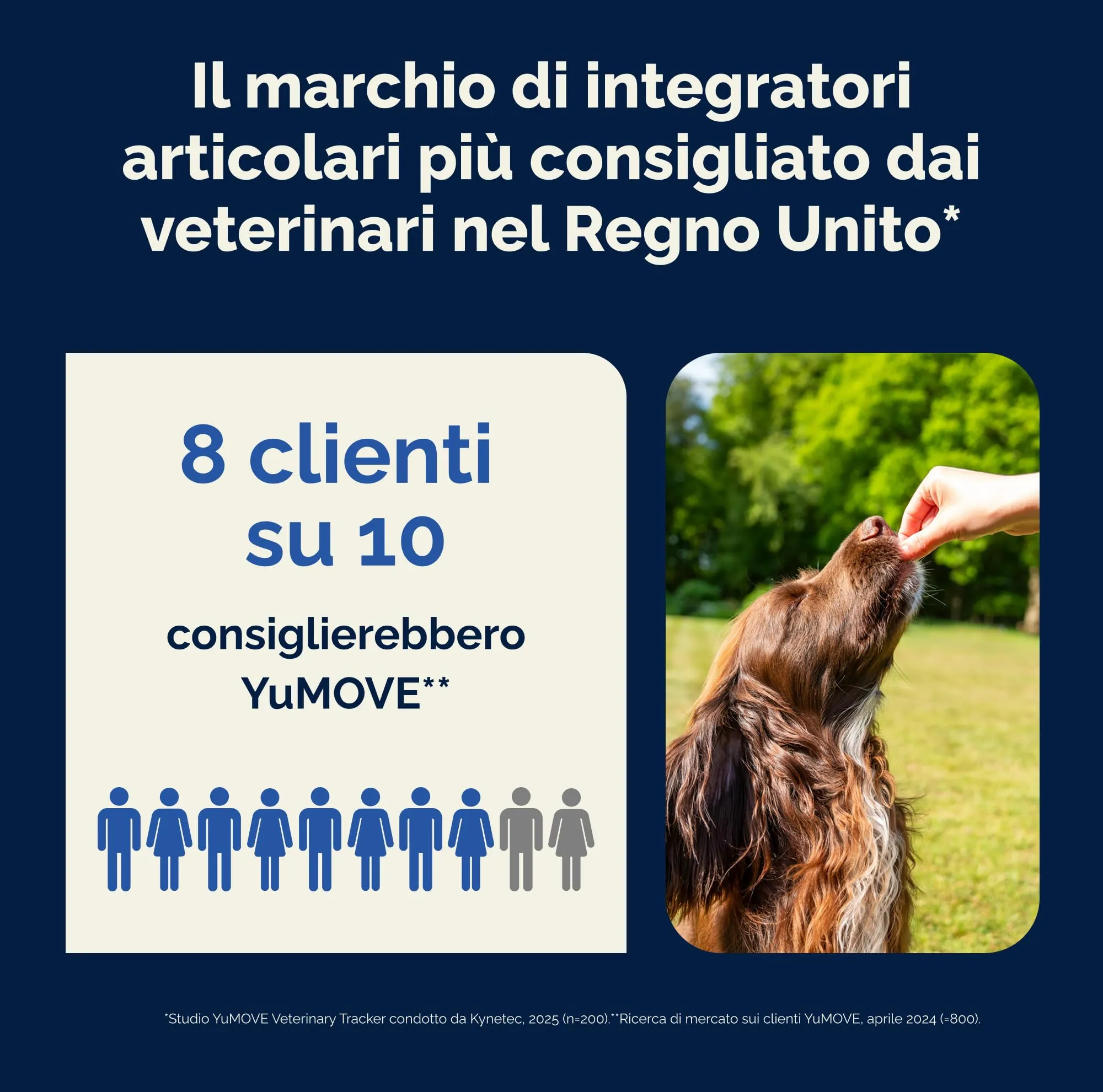 YuMOVE Integratore Articolazioni Cane Senior 8+ – 60 Bocconcini ActivEase - immagine 5