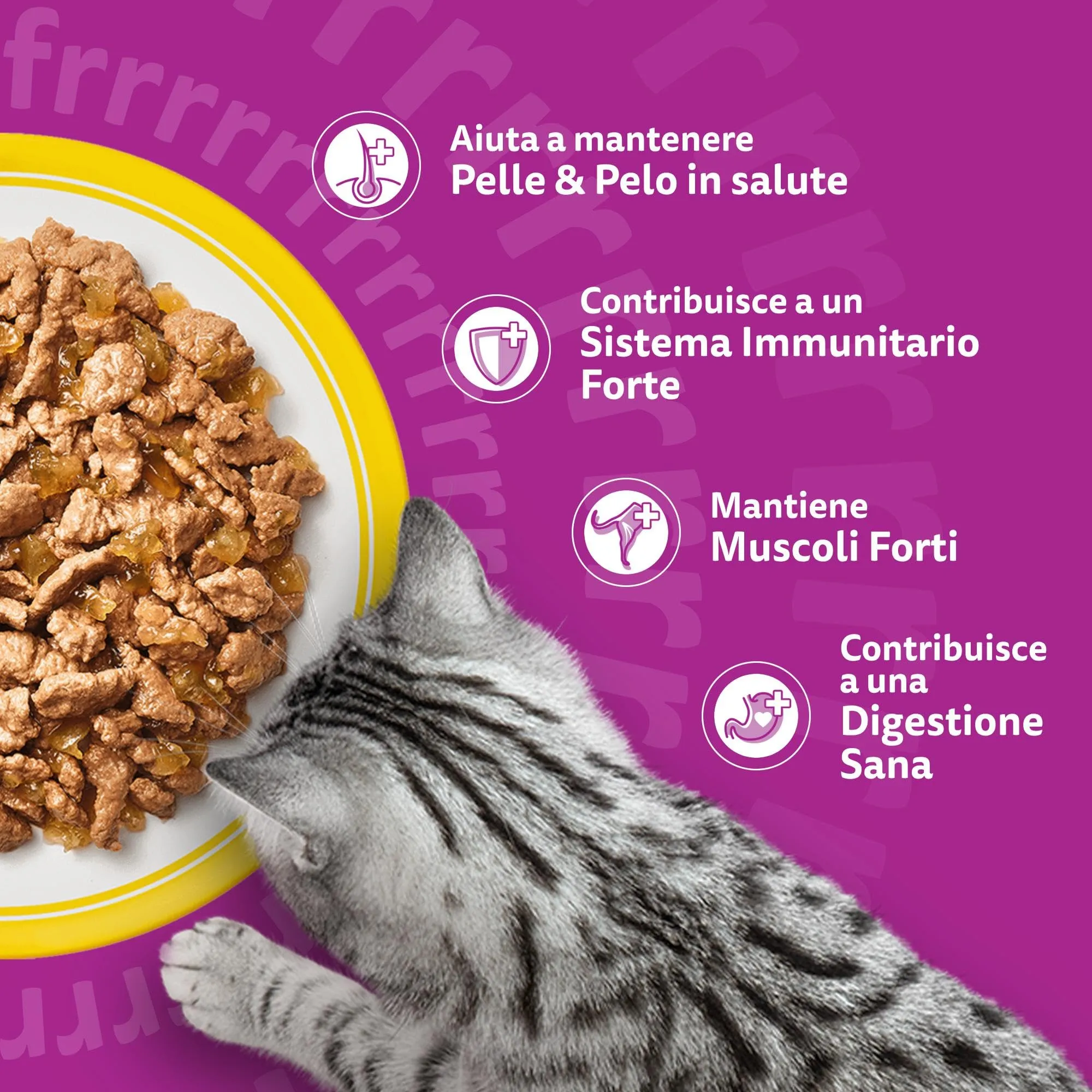 Whiskas Cibo Umido in Gelatina per Gatti Adulti Selezione Delicata 120x85g - immagine 5