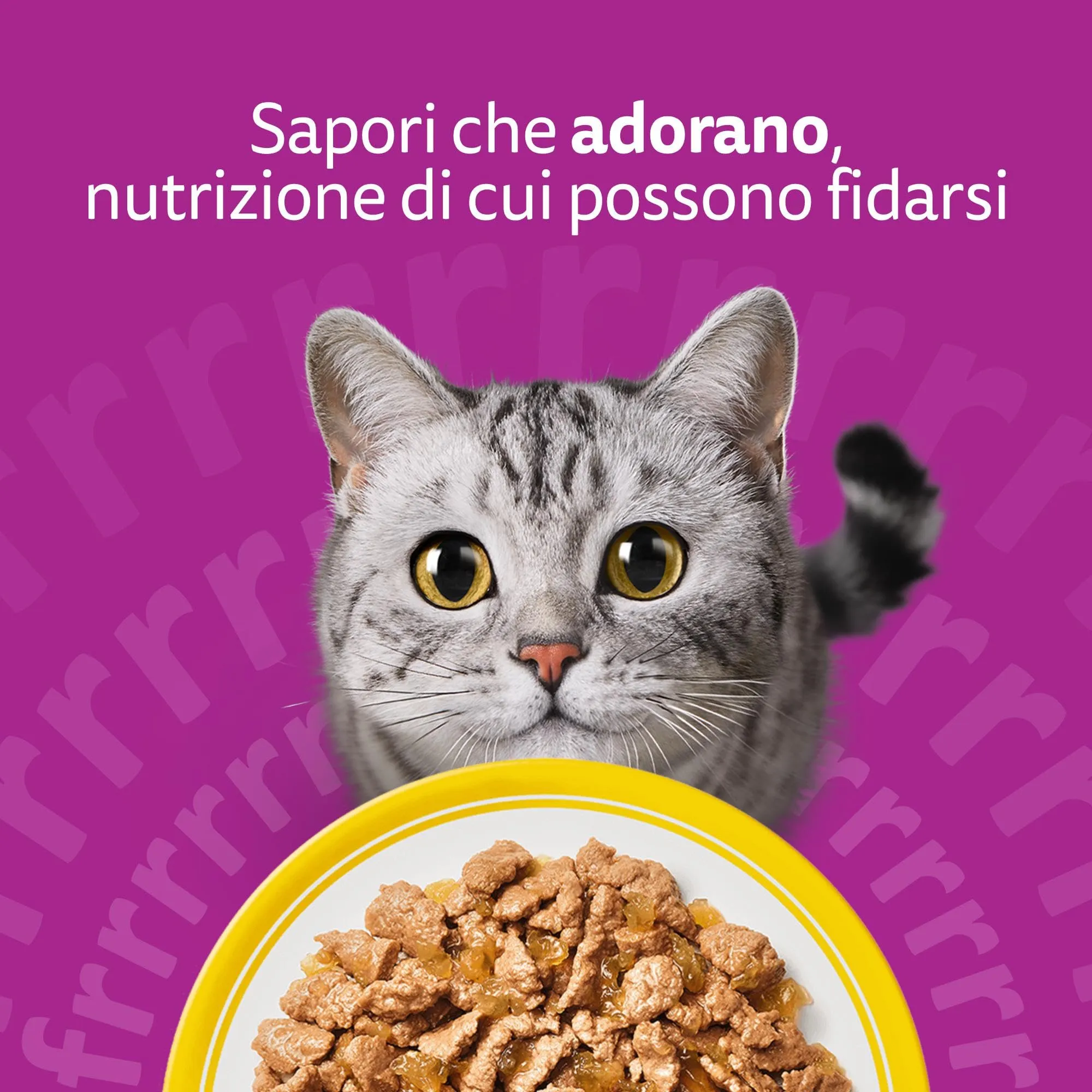 Whiskas Cibo Umido in Gelatina per Gatti Adulti Selezione Delicata 120x85g - immagine 7