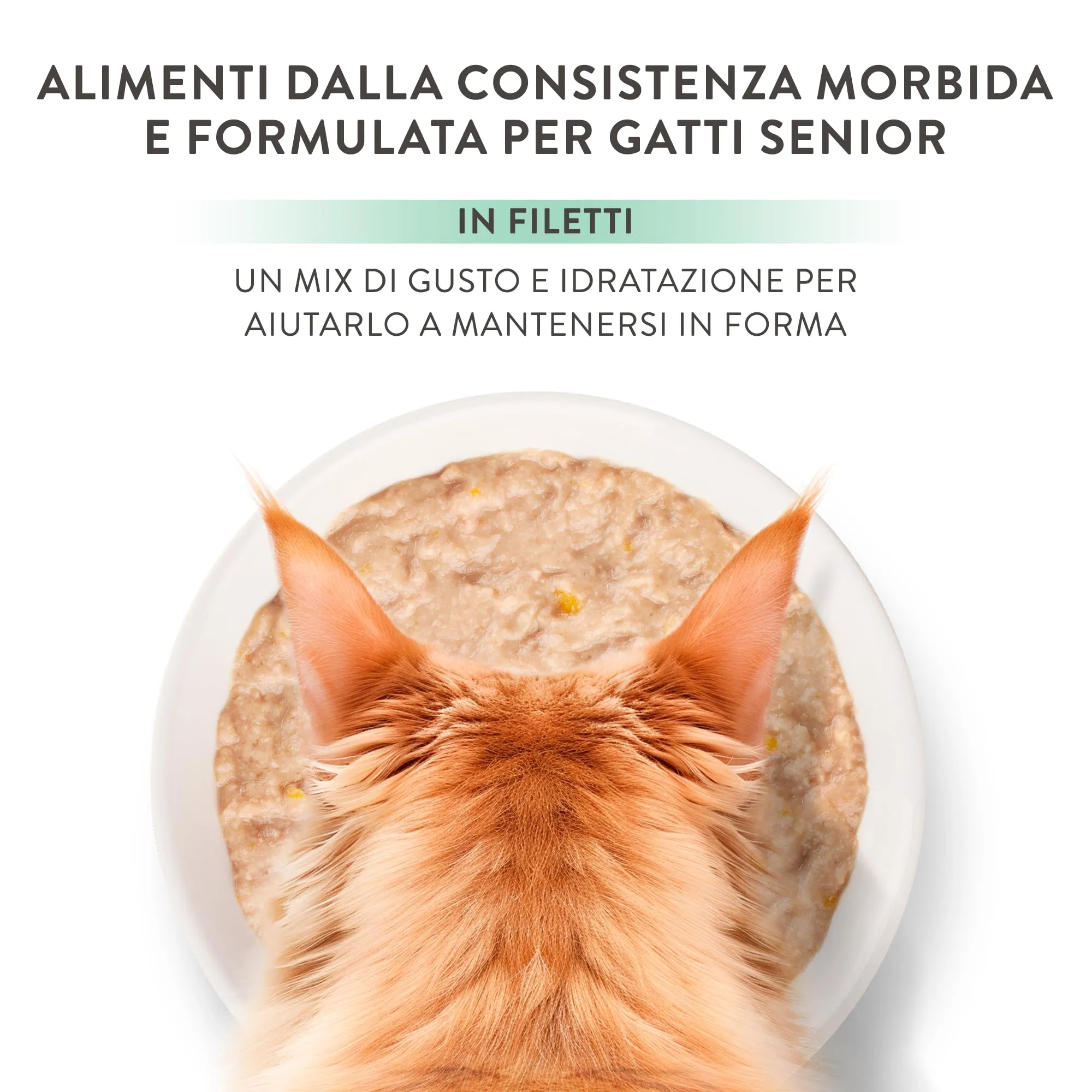 Schesir Silver Filetti di Pollo in Brodo per Gatti Anziani, Grain Free, 12 x 70g - immagine 7