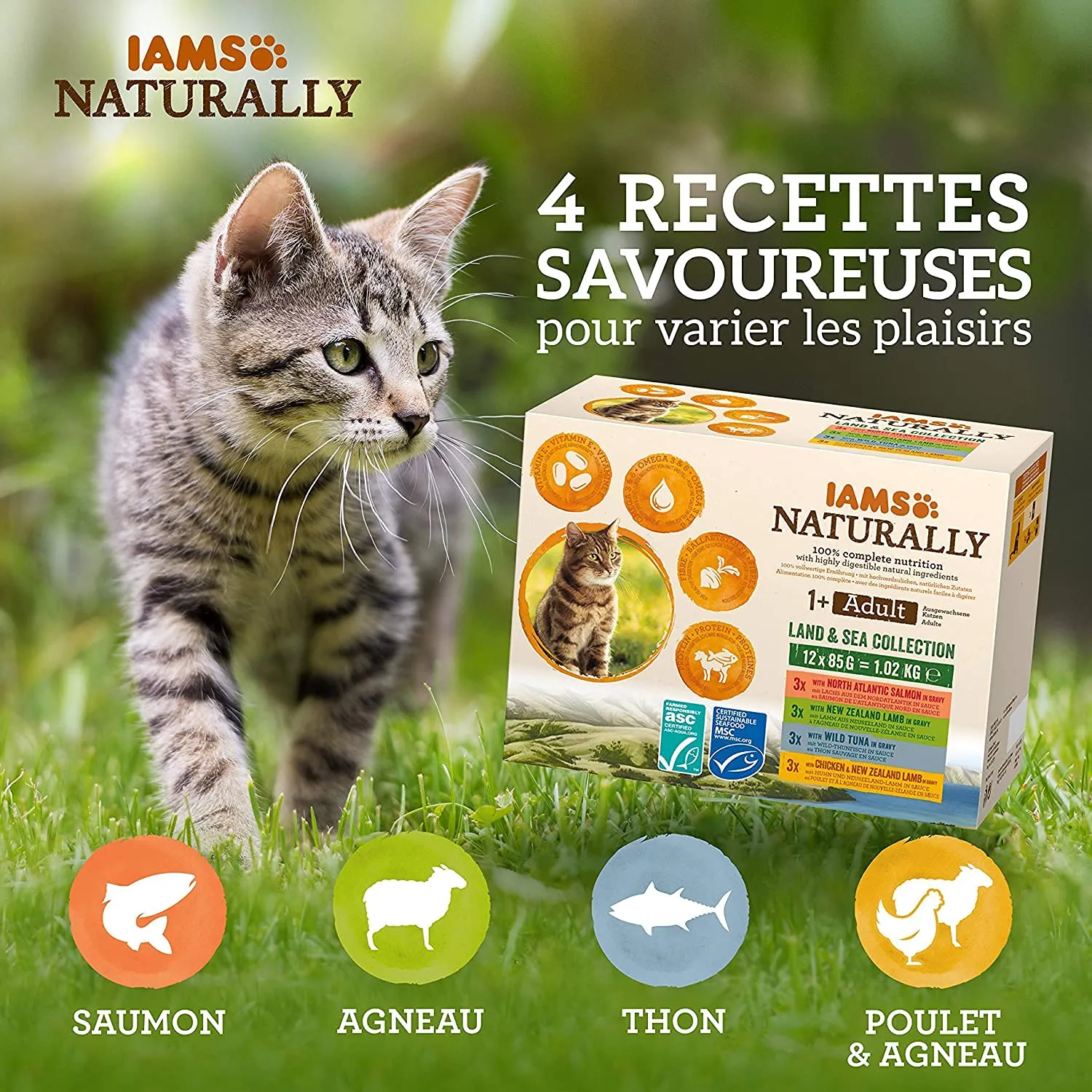 IAMS Naturally Land & Sea Cibo Umido per Gatti in Salsa, 12 x 85 g - immagine 3