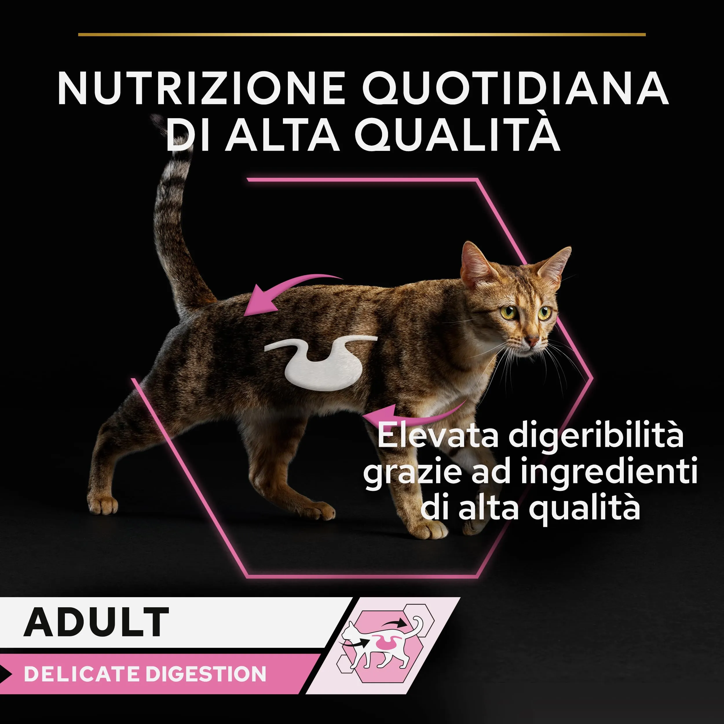 Purina Pro Plan Delicate Digestion Cibo Umido per Gatti Tacchino, 40 Bustine da 85g - immagine 5