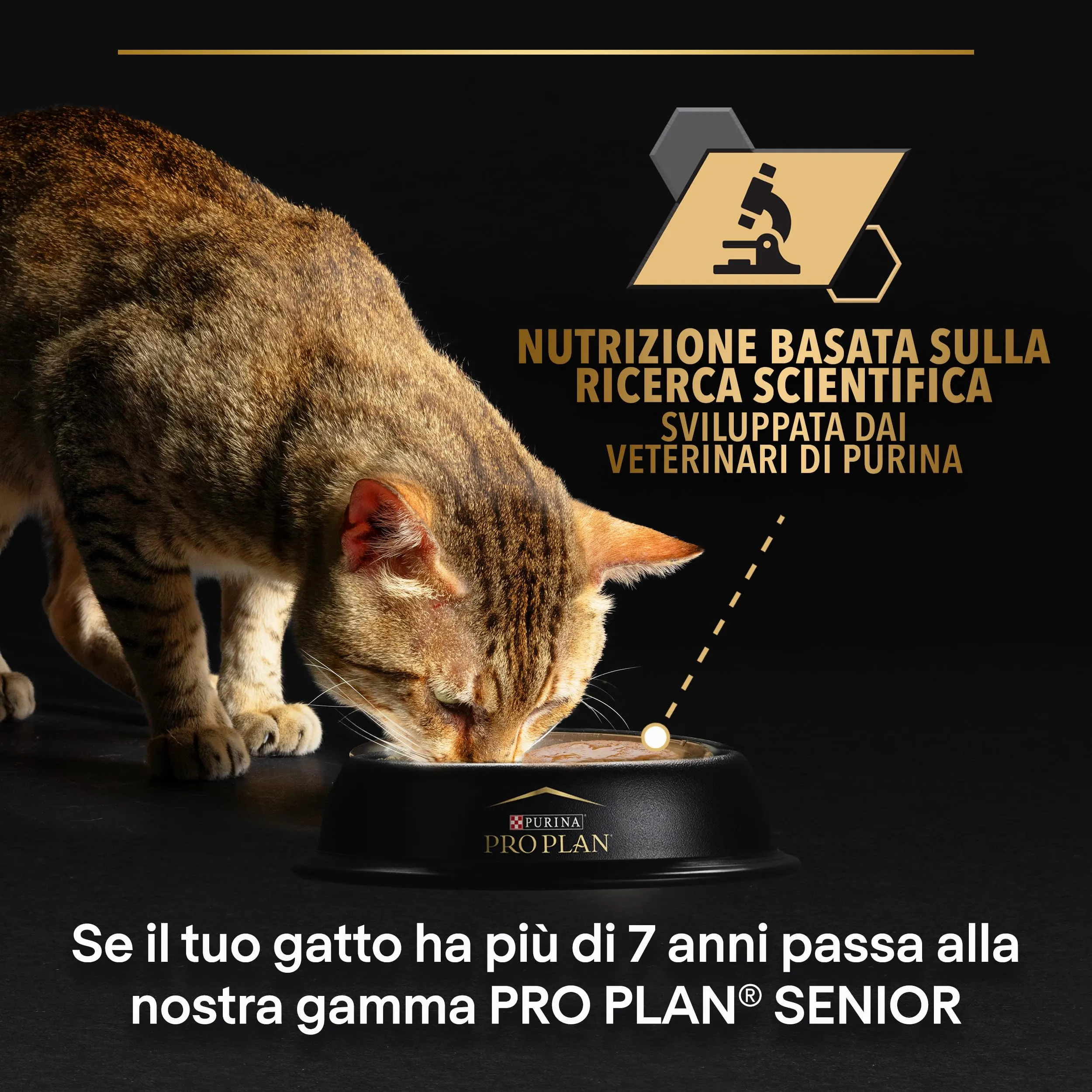 Purina Pro Plan Delicate Digestion Cibo Umido per Gatti Tacchino, 40 Bustine da 85g - immagine 9