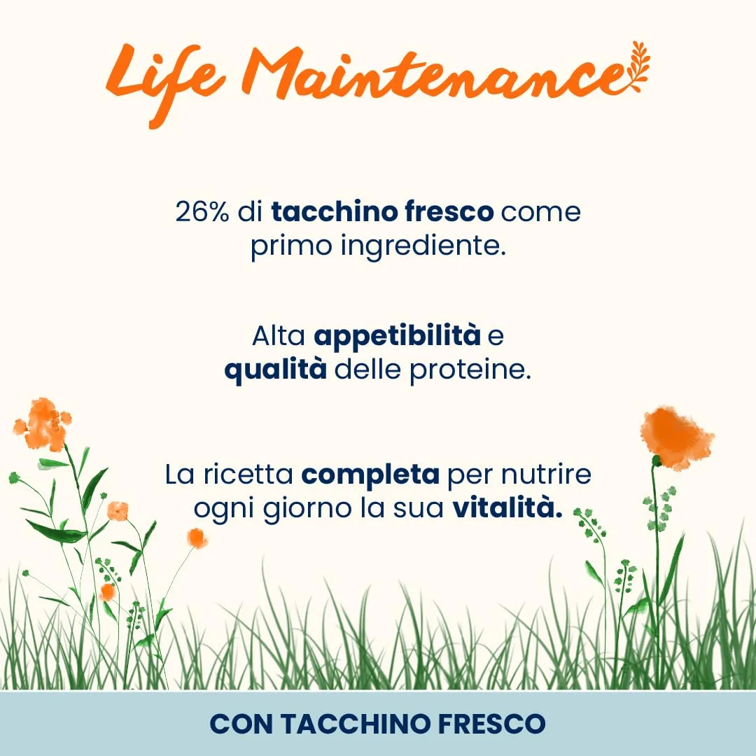Almo Nature Life Maintenance Crocchette per Gatti Adulti al Tacchino Fresco, 2kg - immagine 2