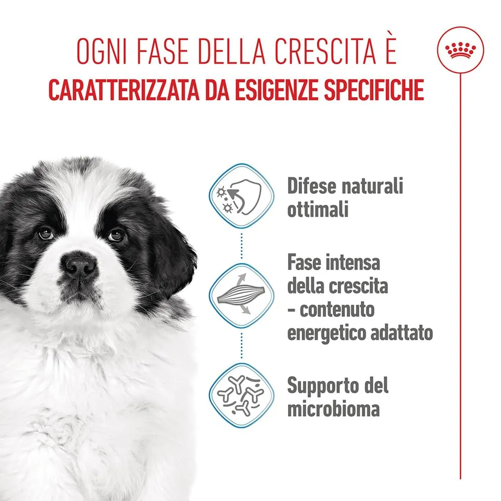 Royal Canin Giant Puppy Alimento Secco Completo per Cucciolo, 15kg - immagine 2