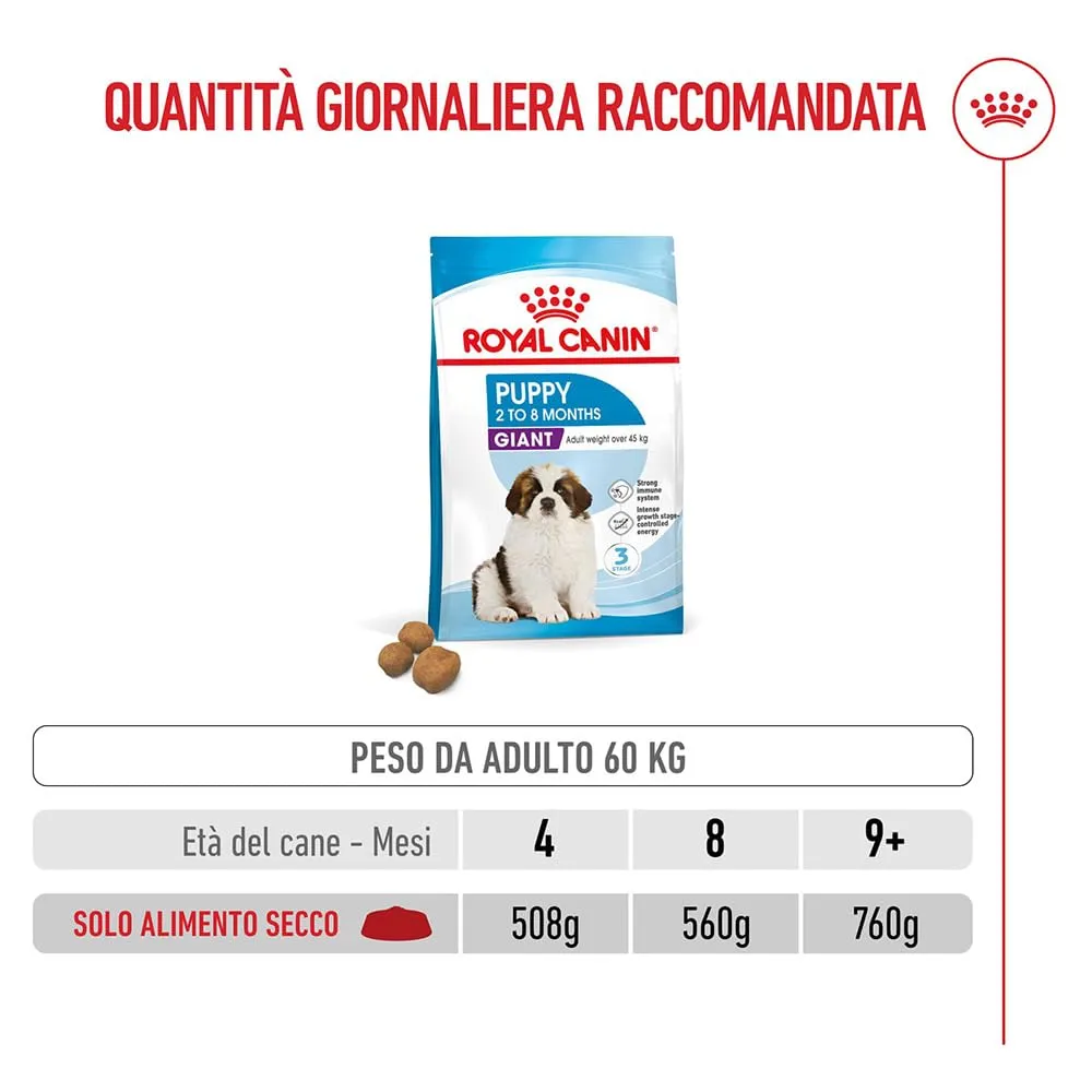 Royal Canin Giant Puppy Alimento Secco Completo per Cucciolo, 15kg - immagine 6