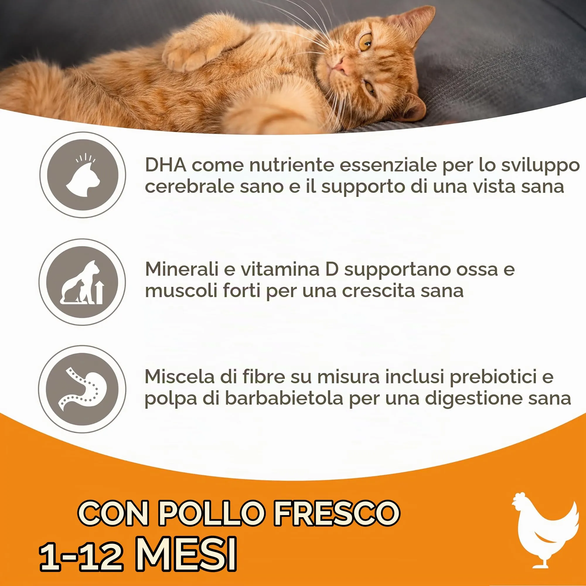 IAMS Cibo secco per gattini 1-12 mesi con pollo fresco, 800 g - immagine 4