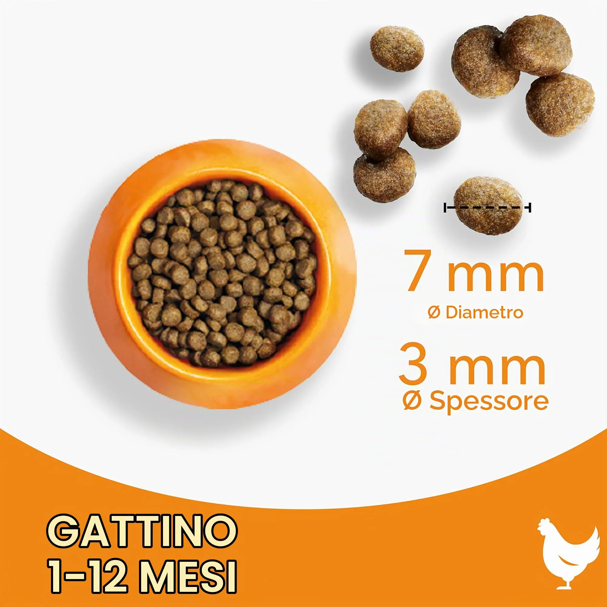 IAMS Cibo secco per gattini 1-12 mesi con pollo fresco, 800 g - immagine 7