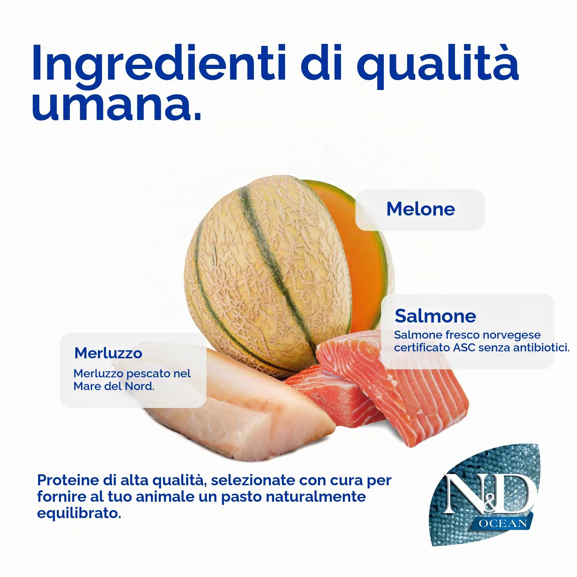 N&D Ocean Dog Salmon, Cod and Cantaloupe Melon Adult Mini, 2.5 kg - immagine 4