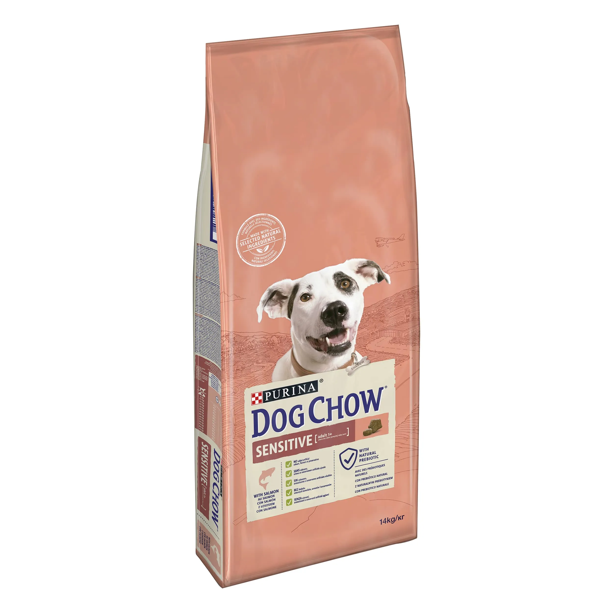Purina Dog Chow Sensitive Cane Crocchette con Salmone, 14 kg - immagine 1